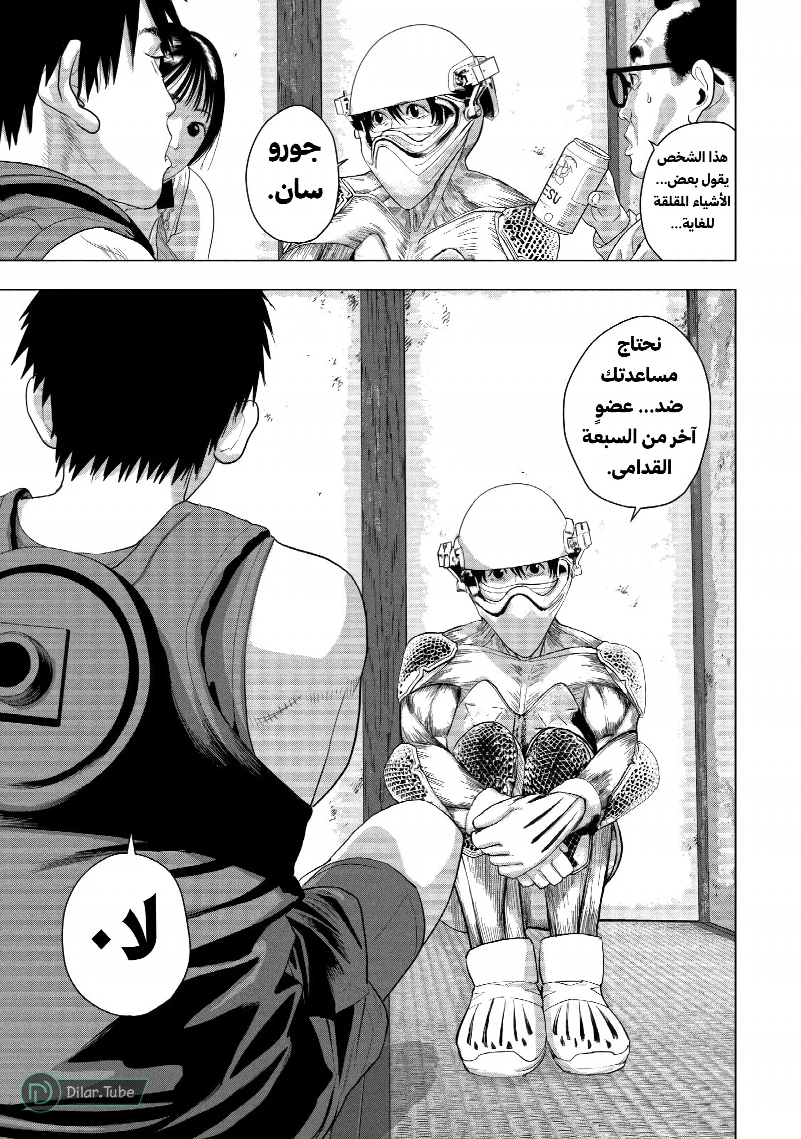 الصفحة 17