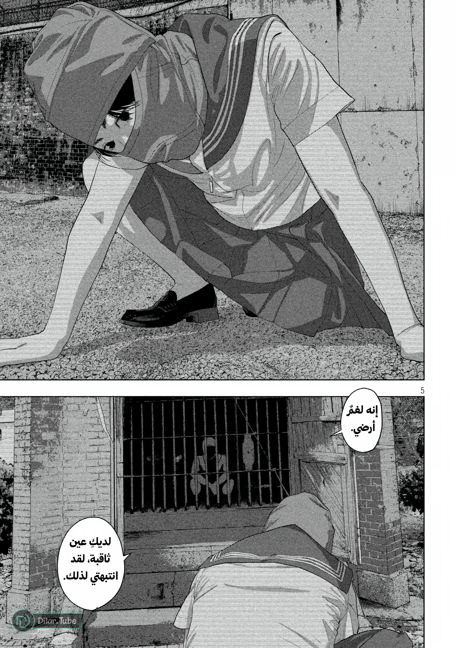 الصفحة 6