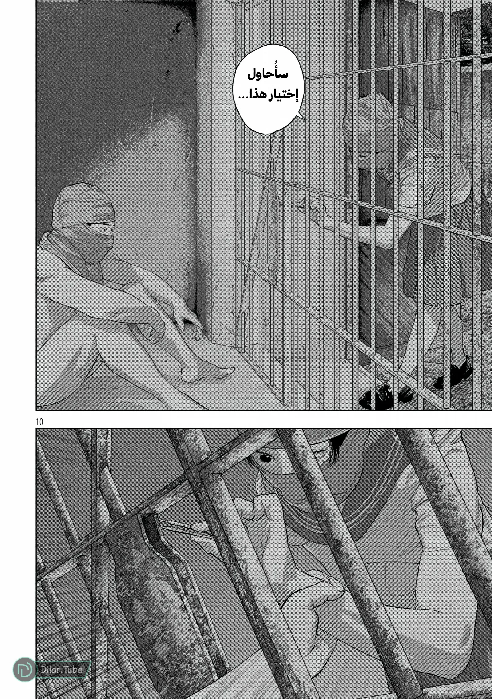 الصفحة 11