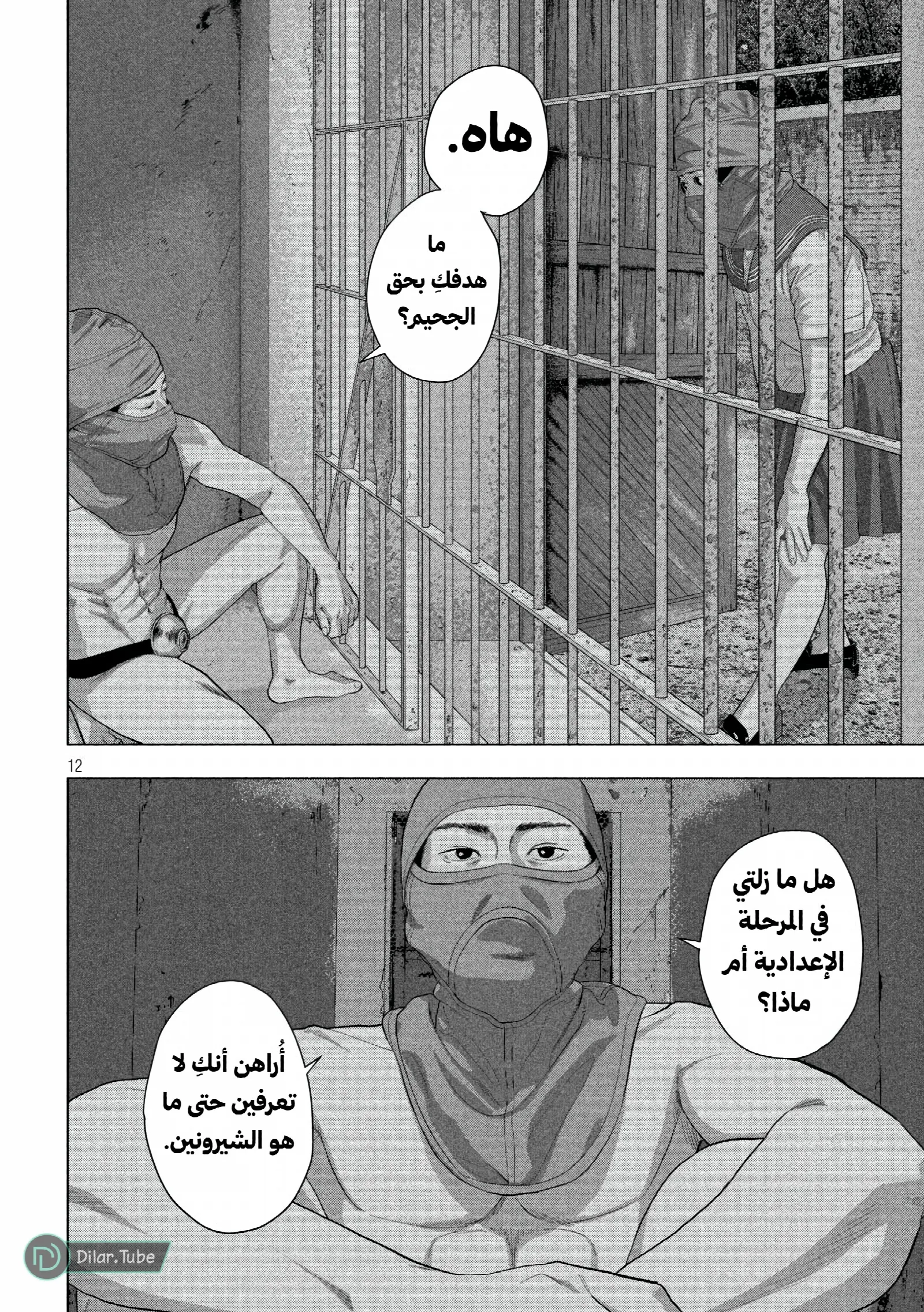 الصفحة 13