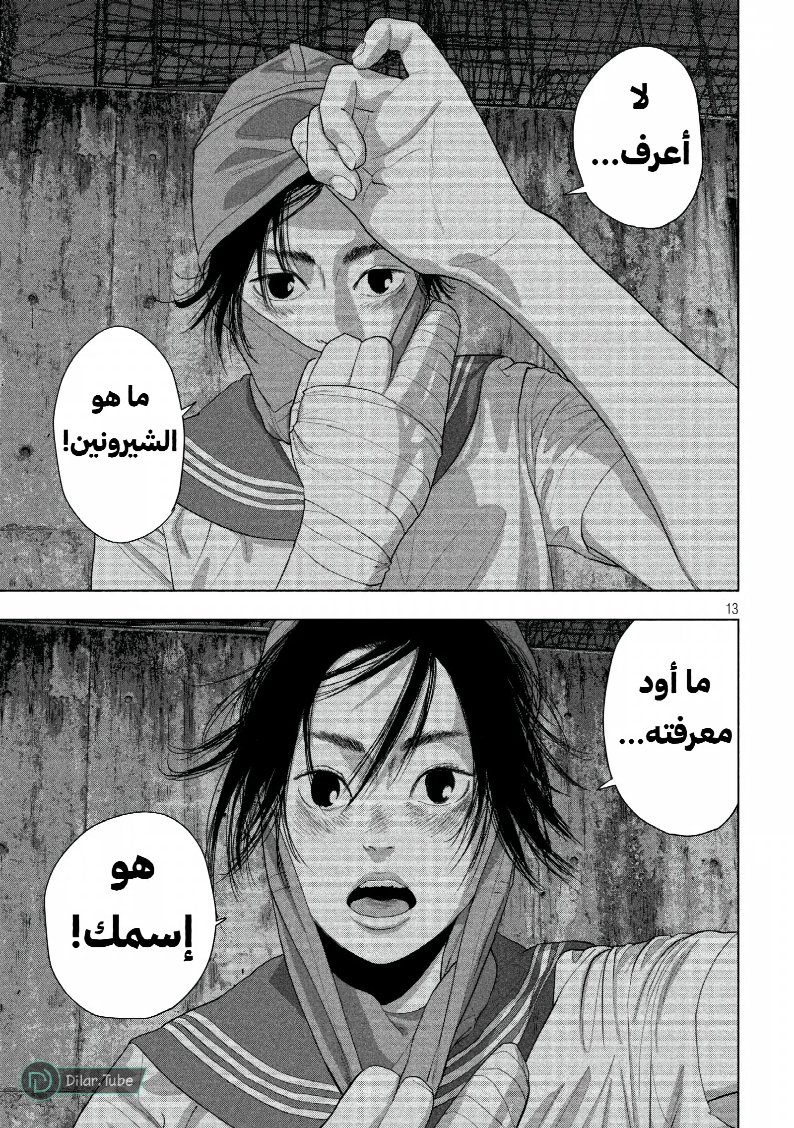 الصفحة 14