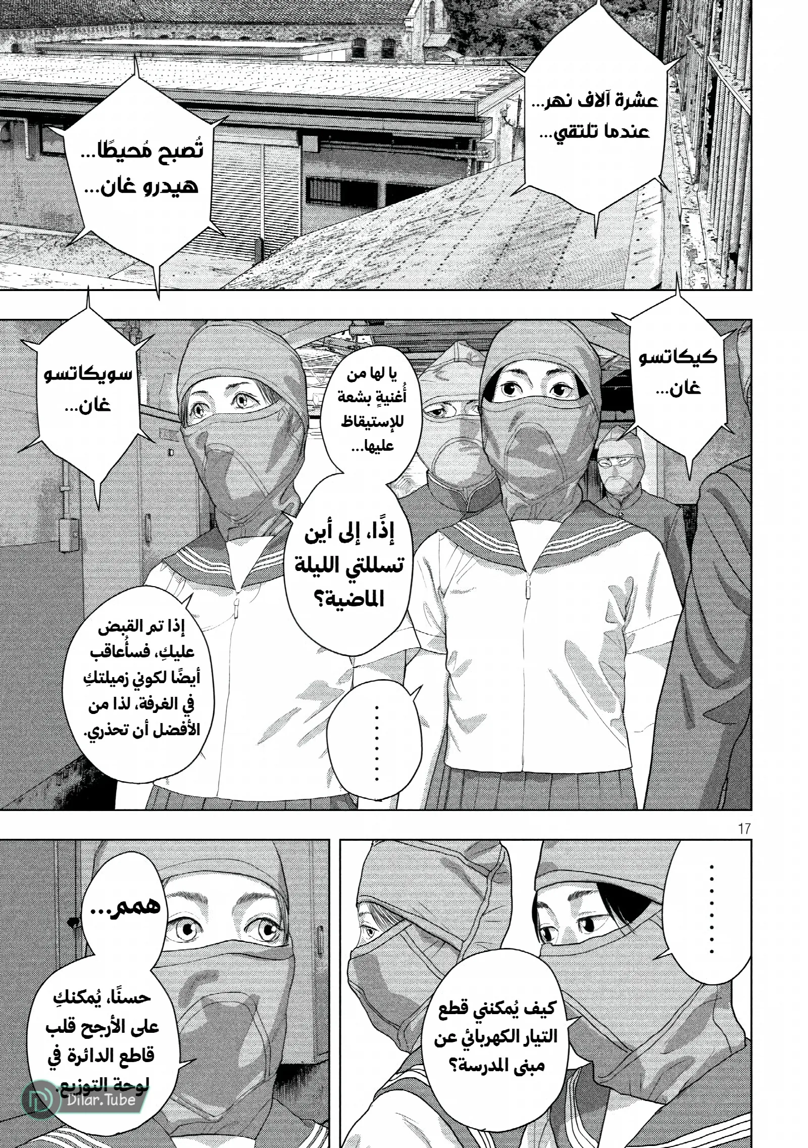 الصفحة 17