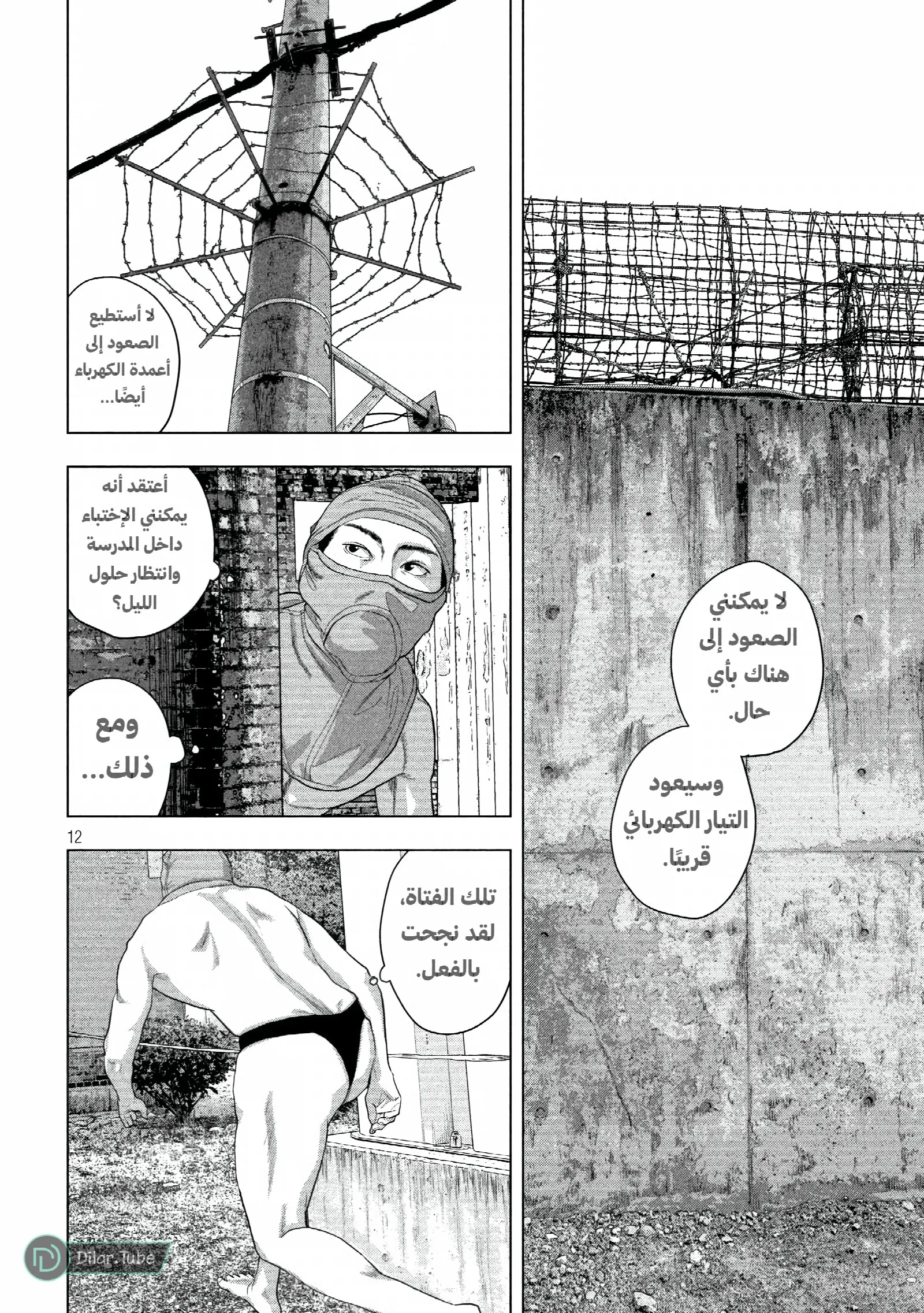 الصفحة 13
