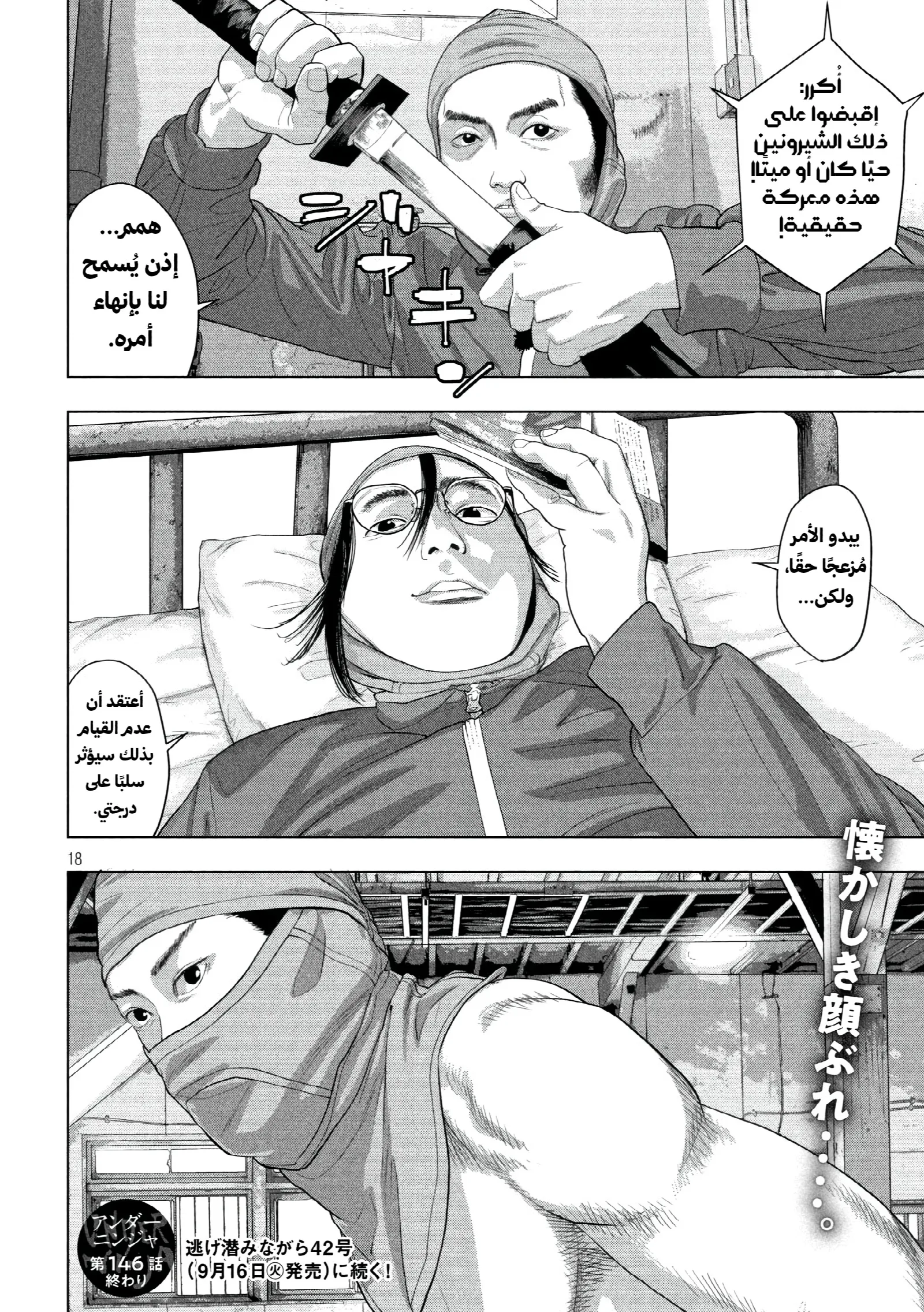 الصفحة 18