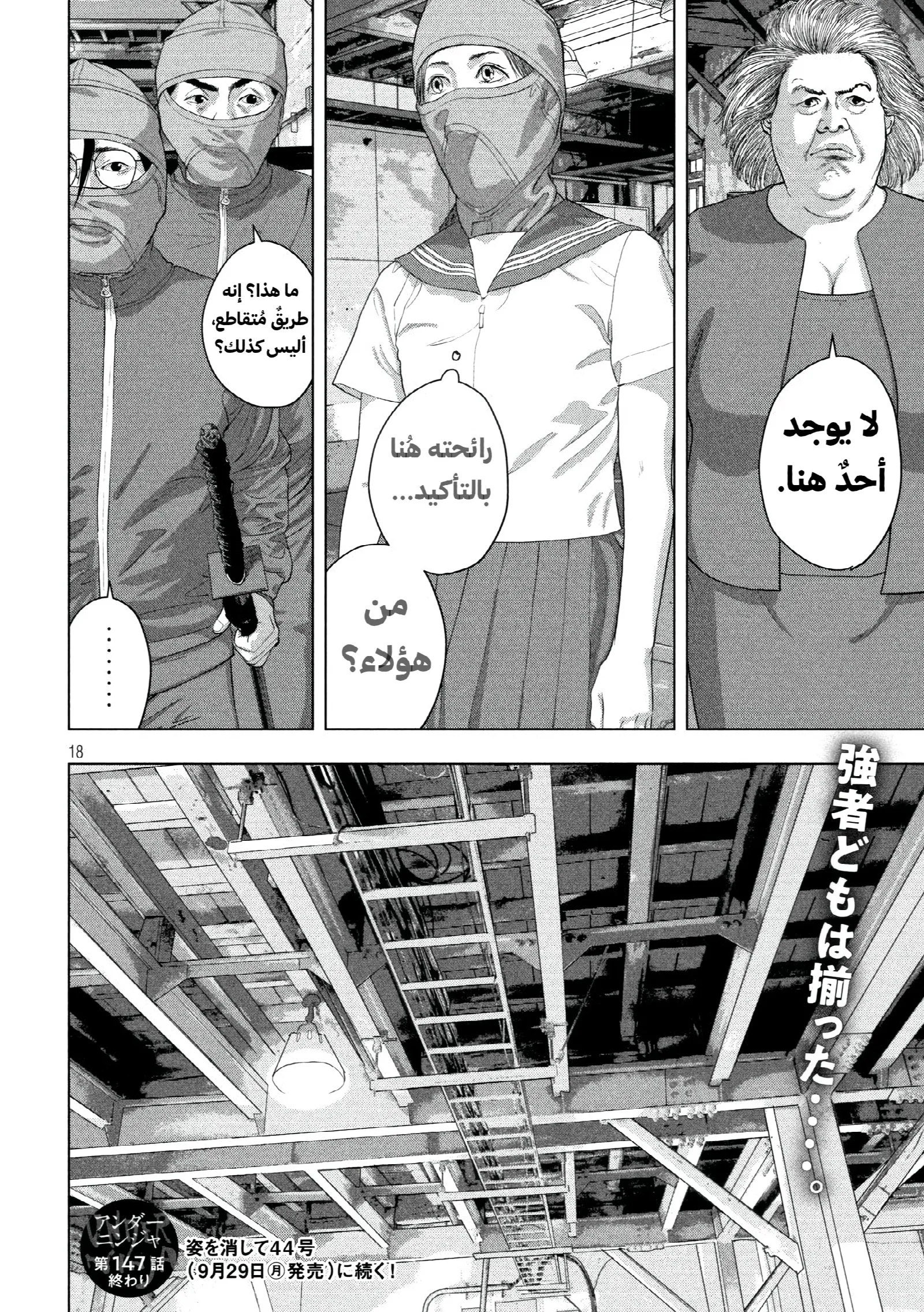 الصفحة 18