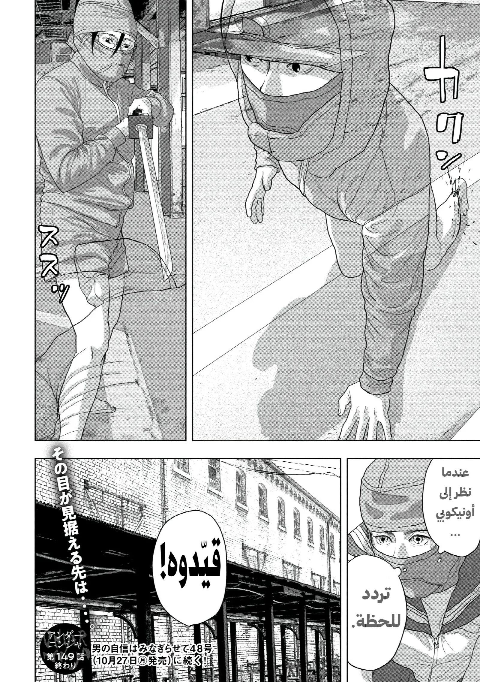 الصفحة 17