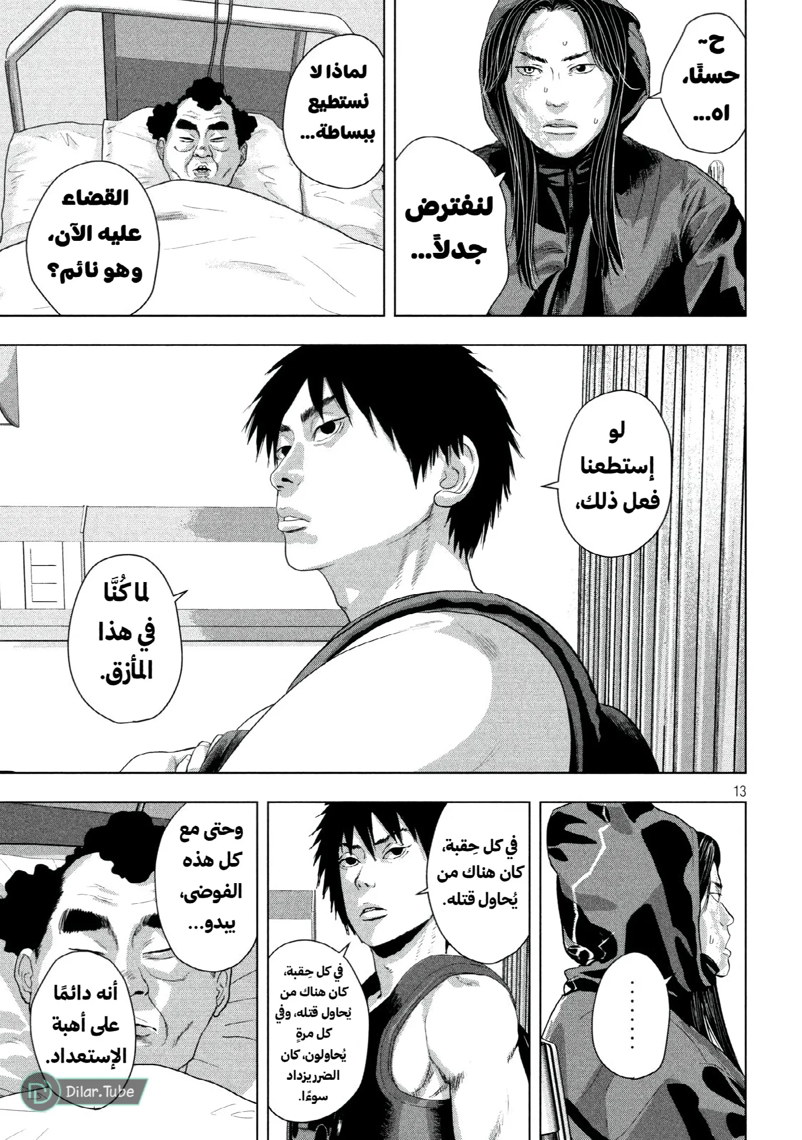 الصفحة 13