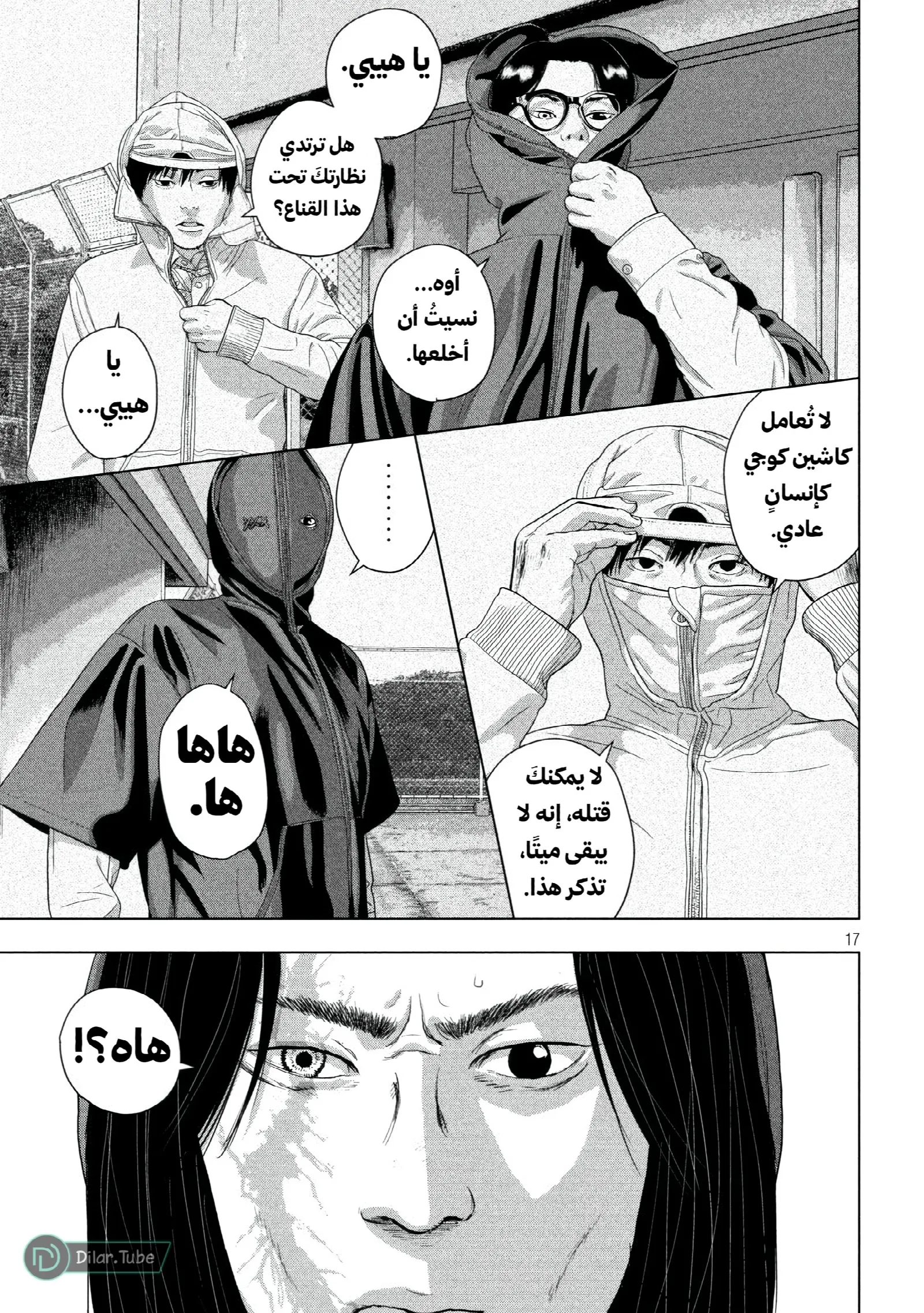 الصفحة 17