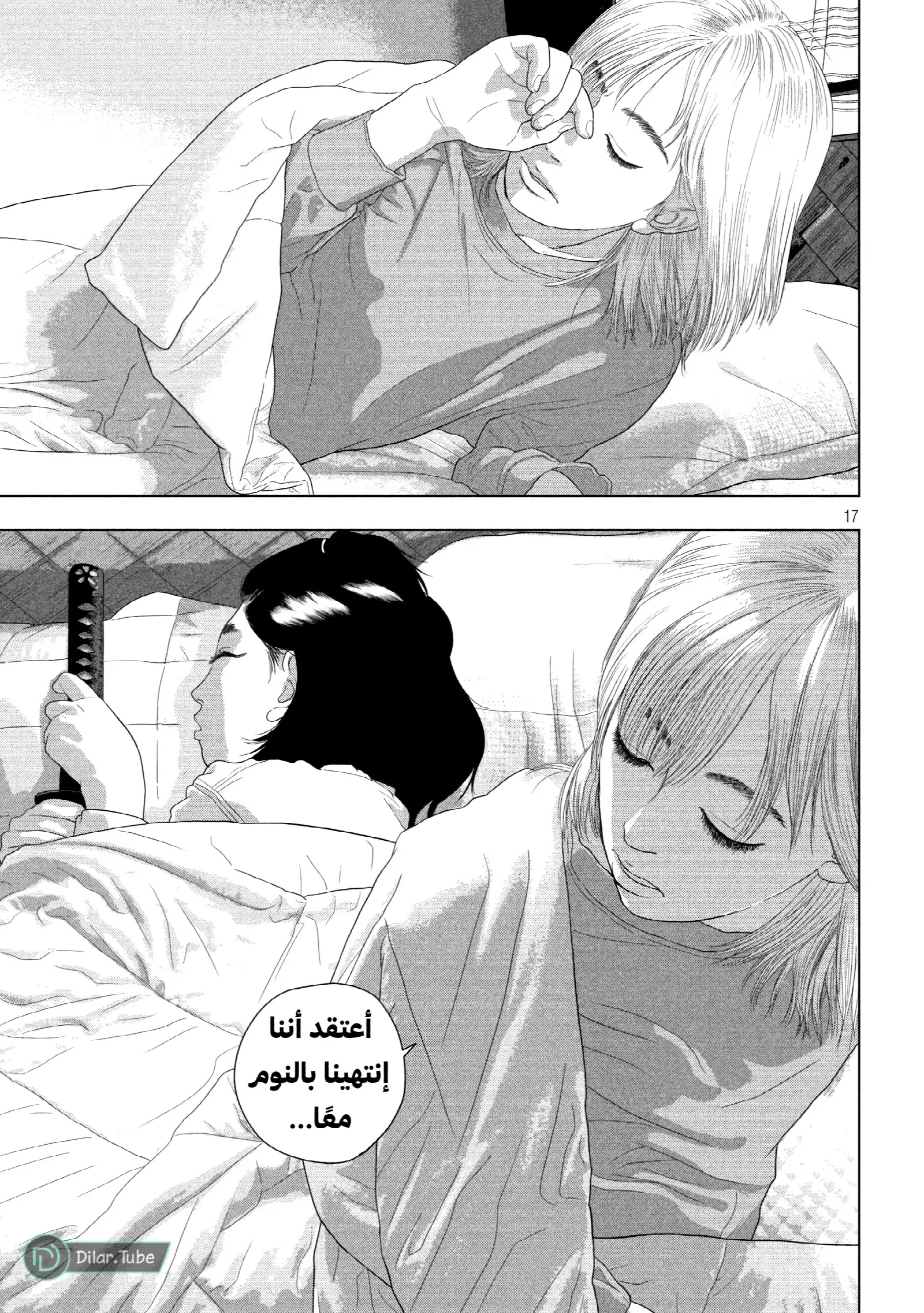 الصفحة 17