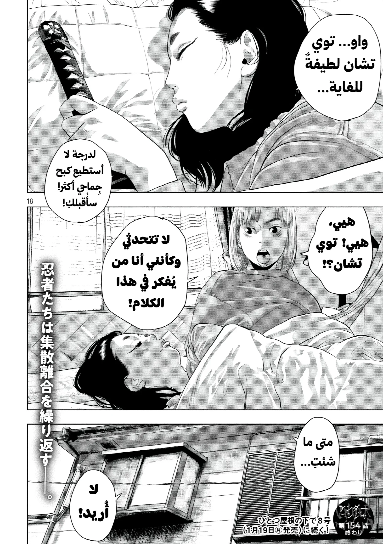 الصفحة 18