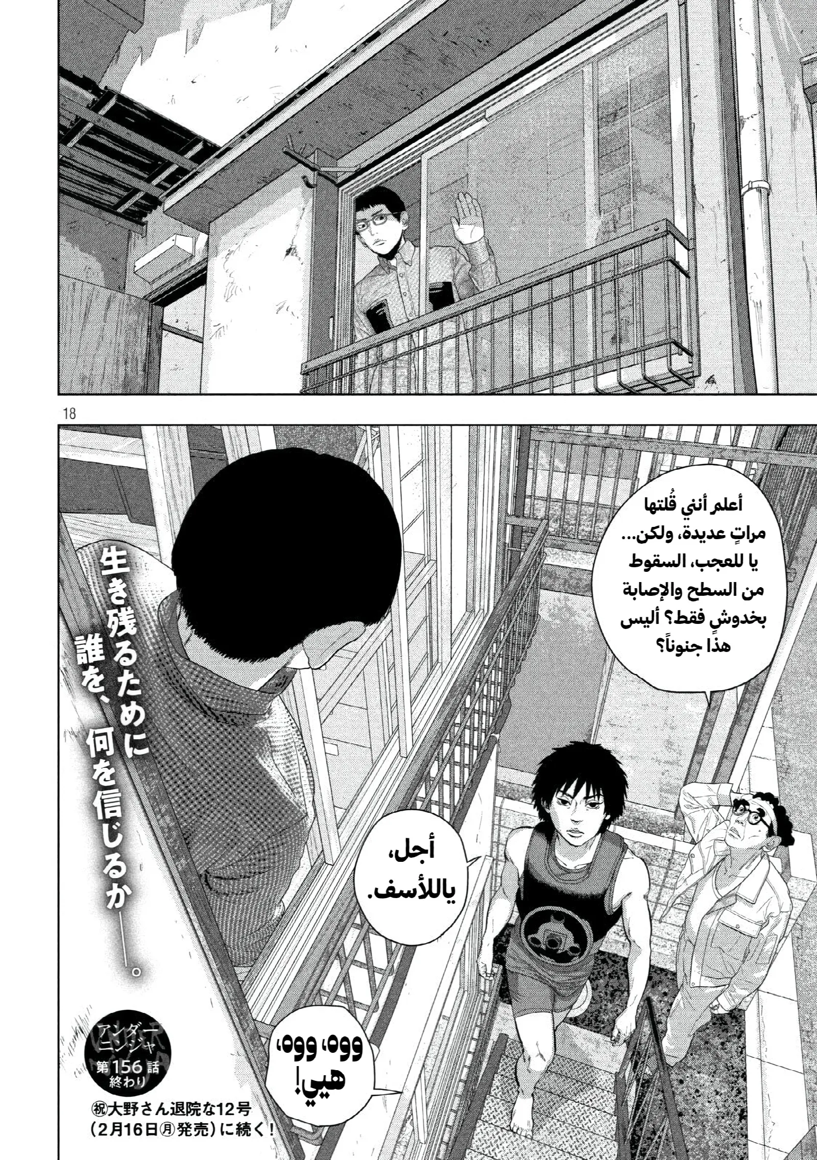 الصفحة 17