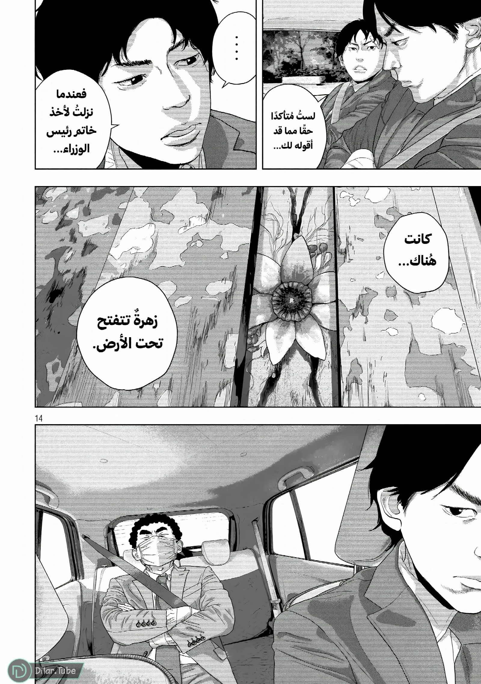 الصفحة 14