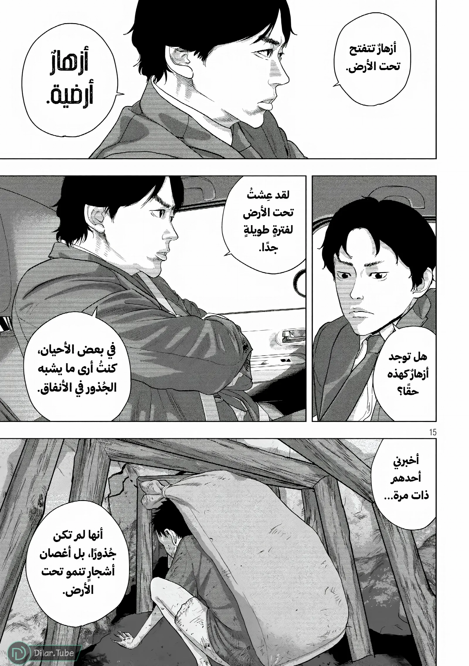 الصفحة 15