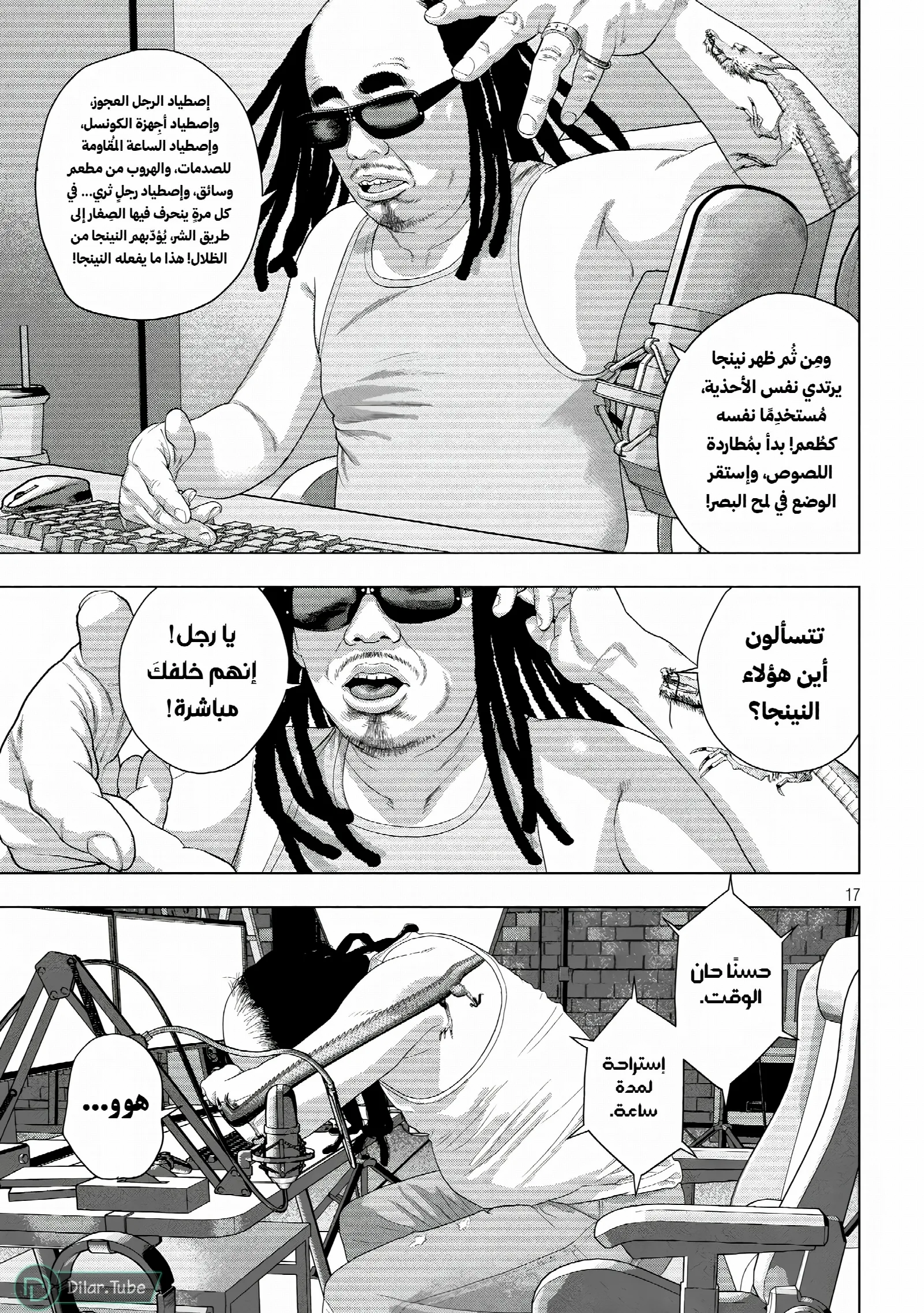 الصفحة 17