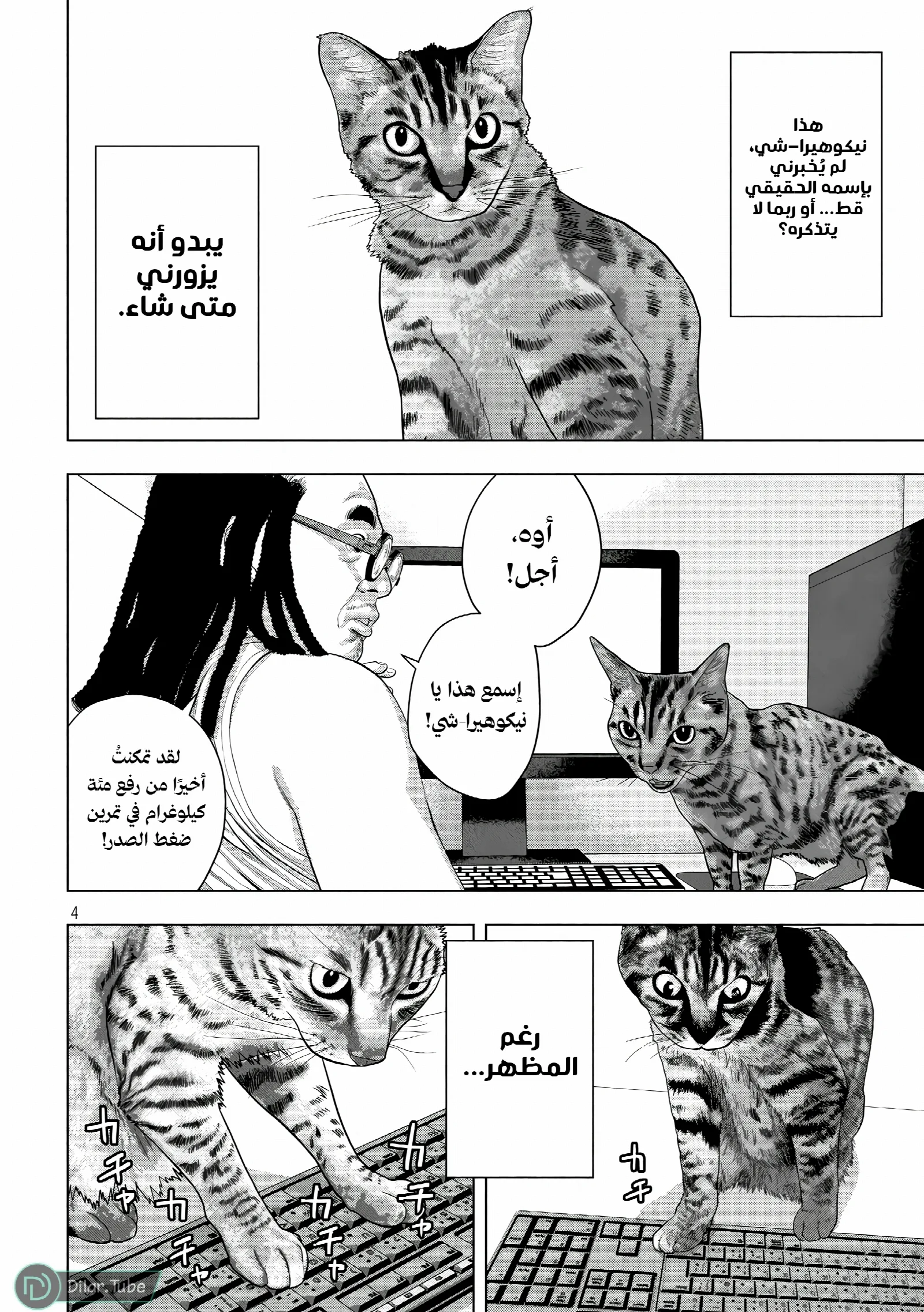 الصفحة 5
