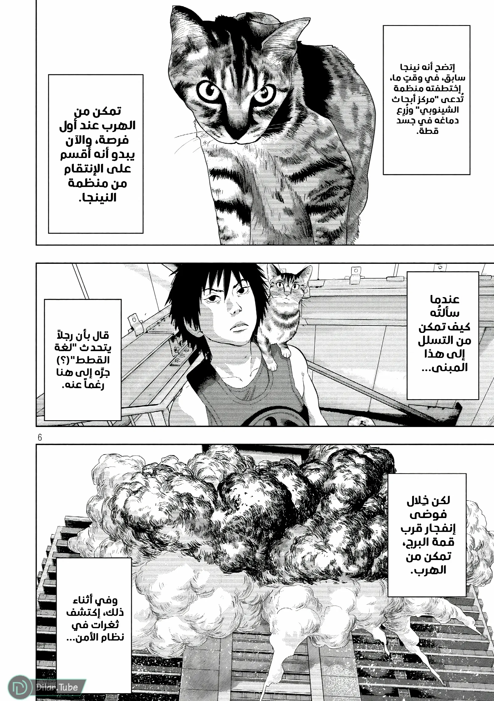 الصفحة 7