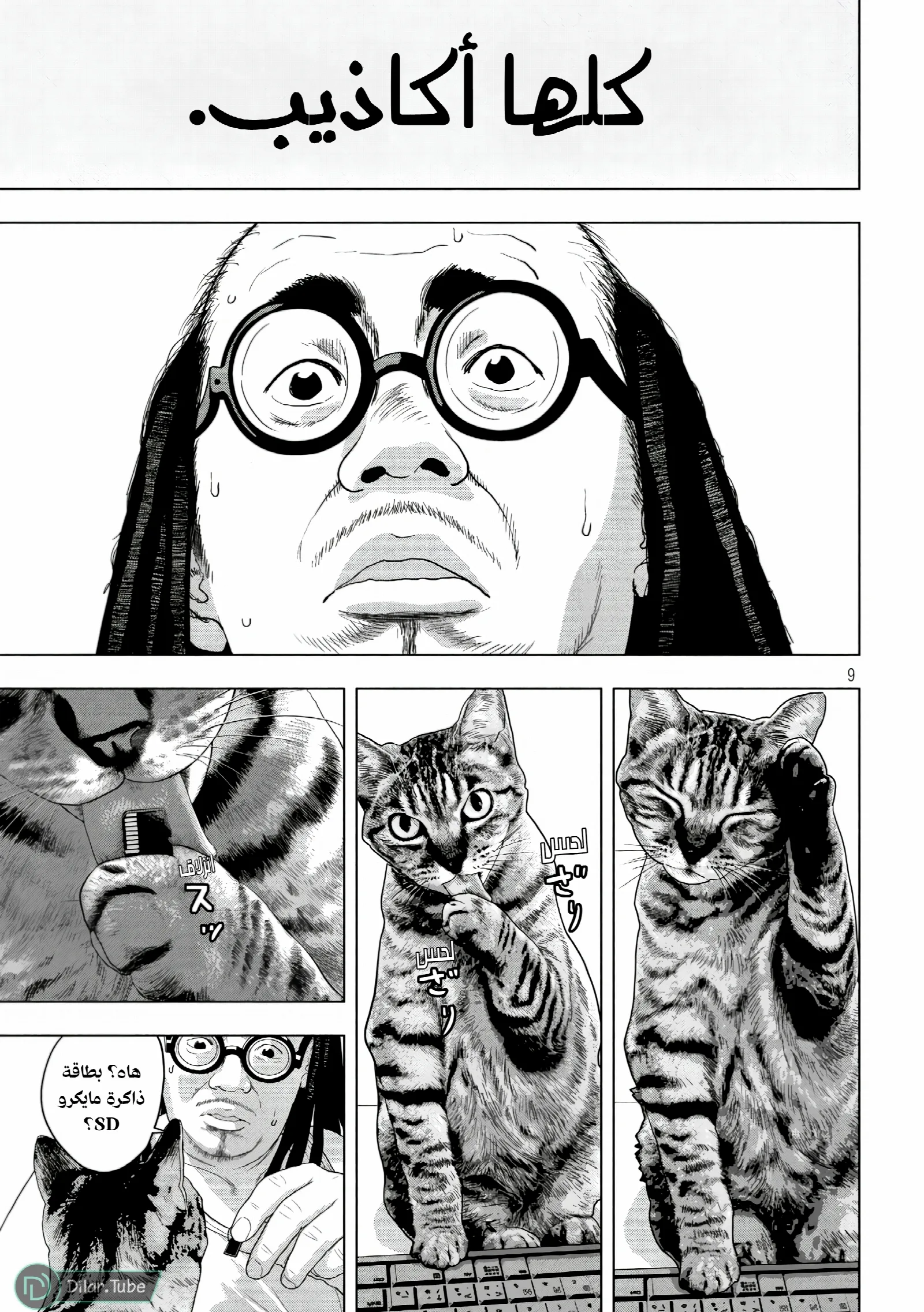 الصفحة 10