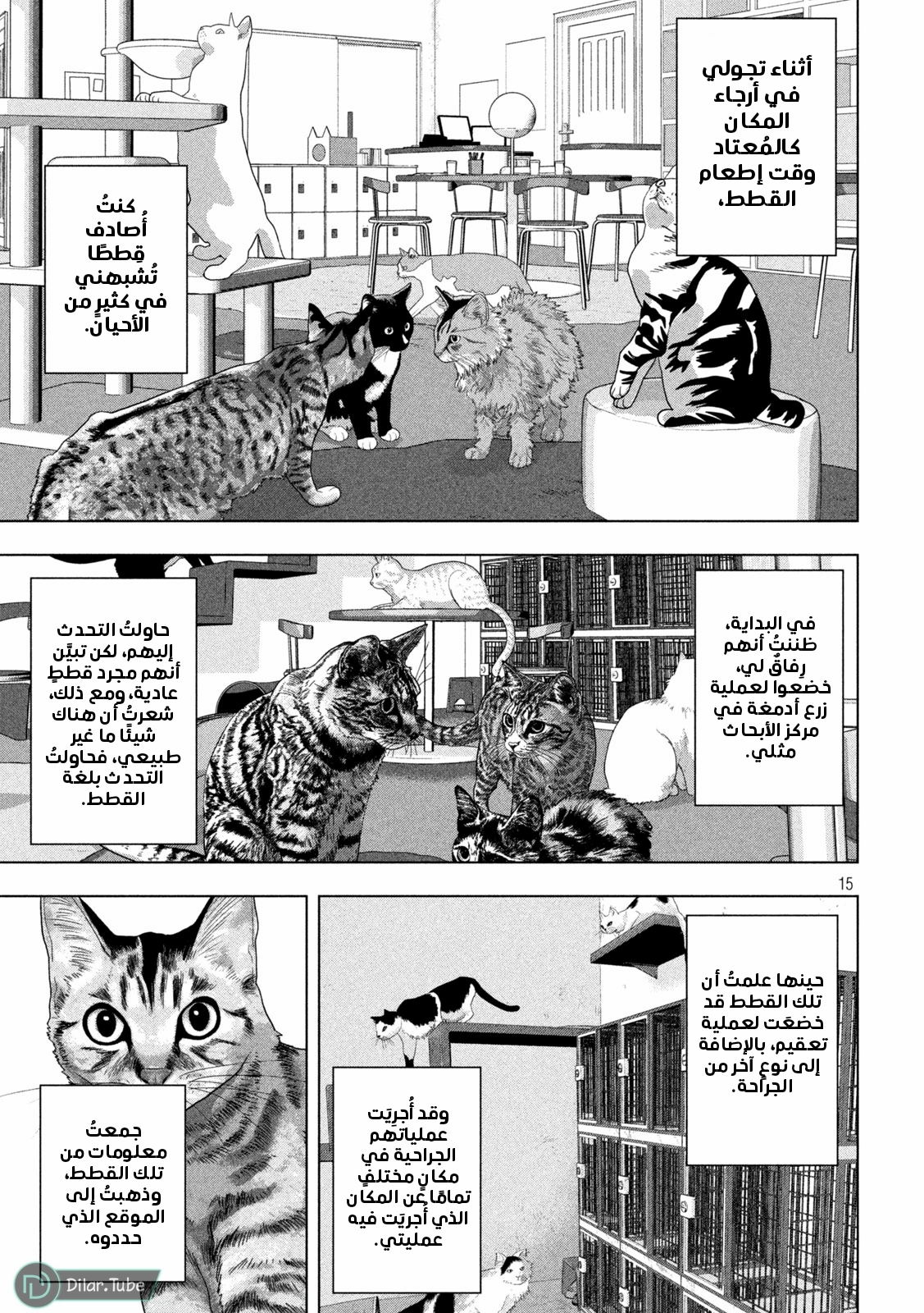 الصفحة 16