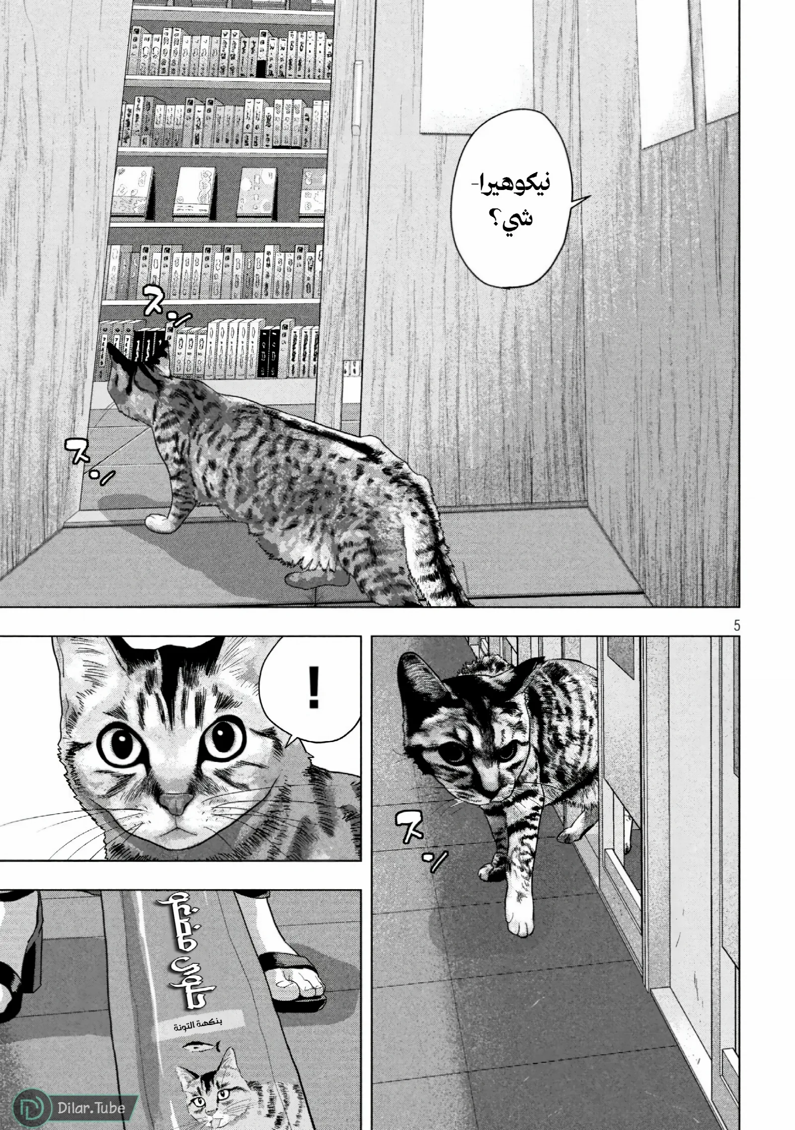 الصفحة 6