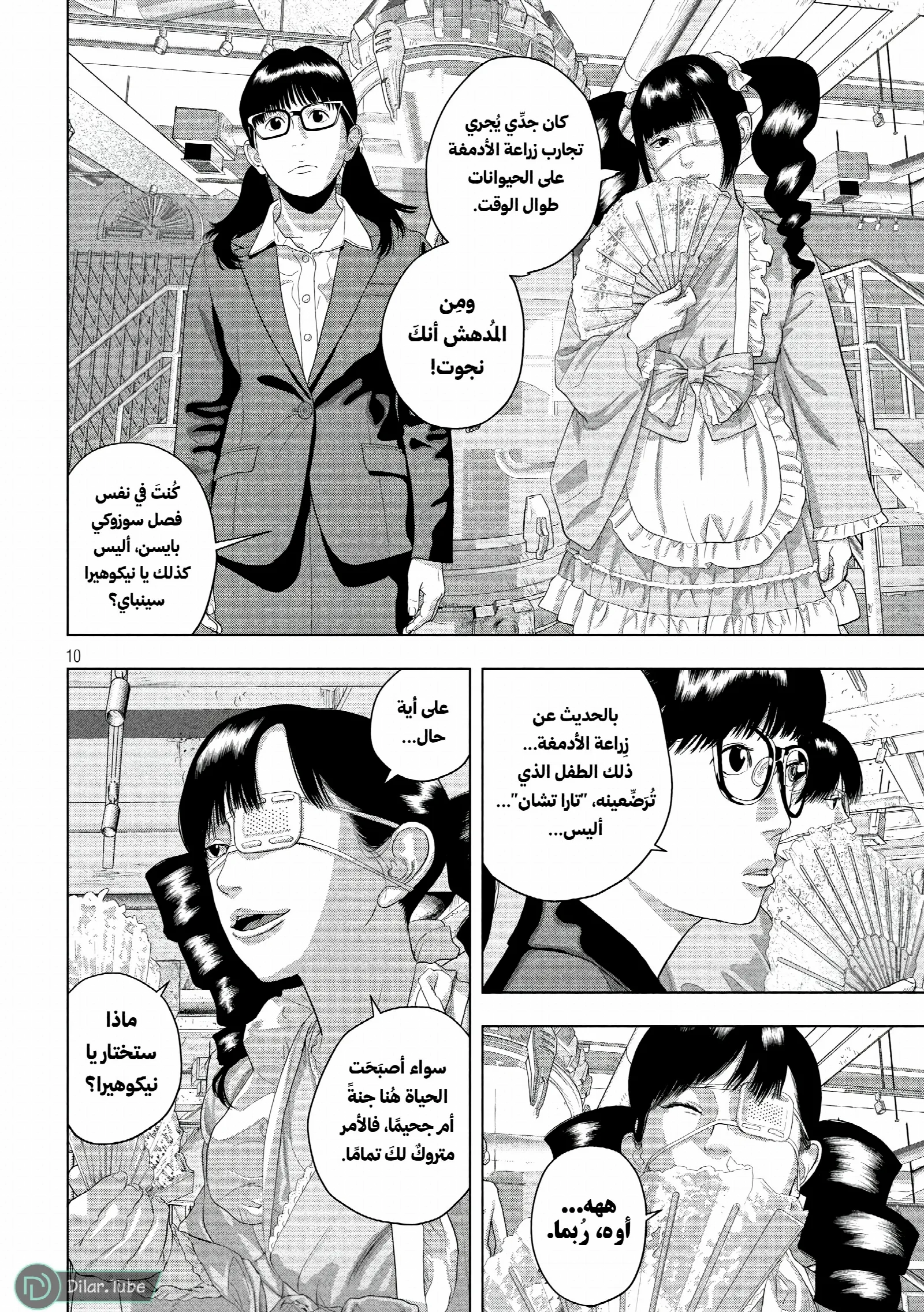 الصفحة 11