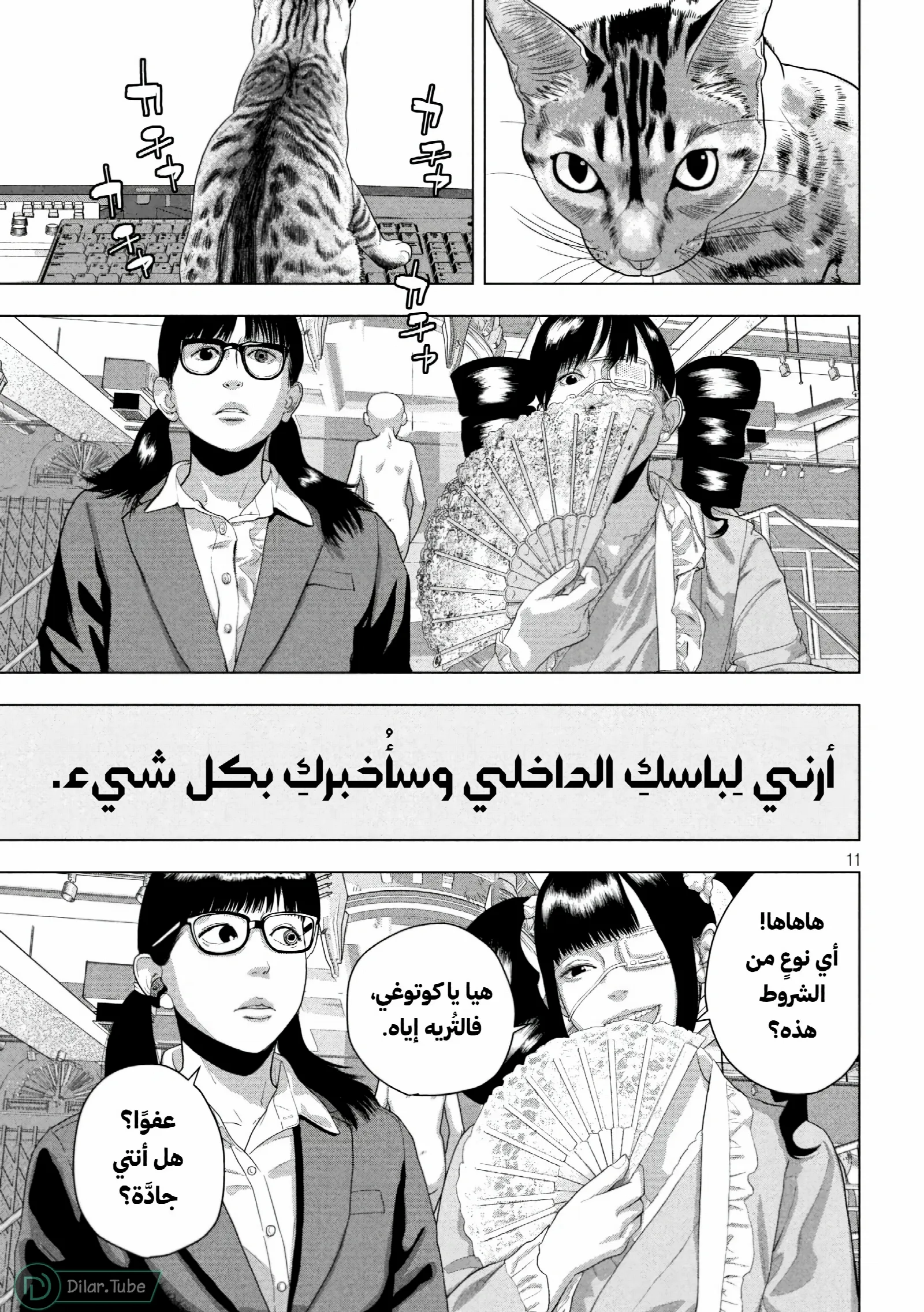 الصفحة 12