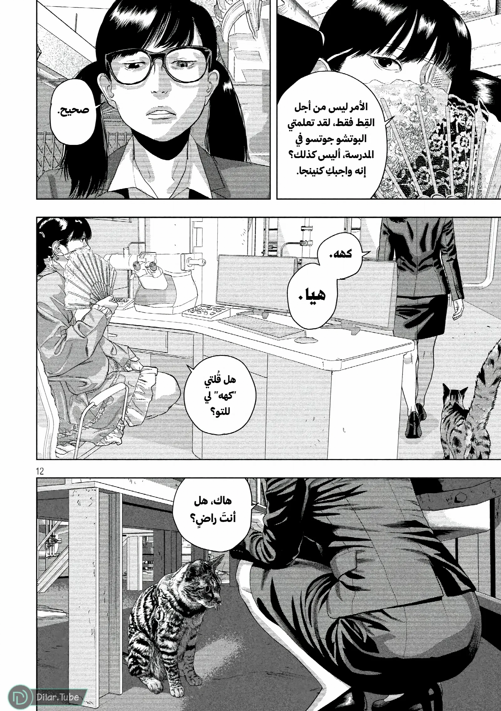 الصفحة 13