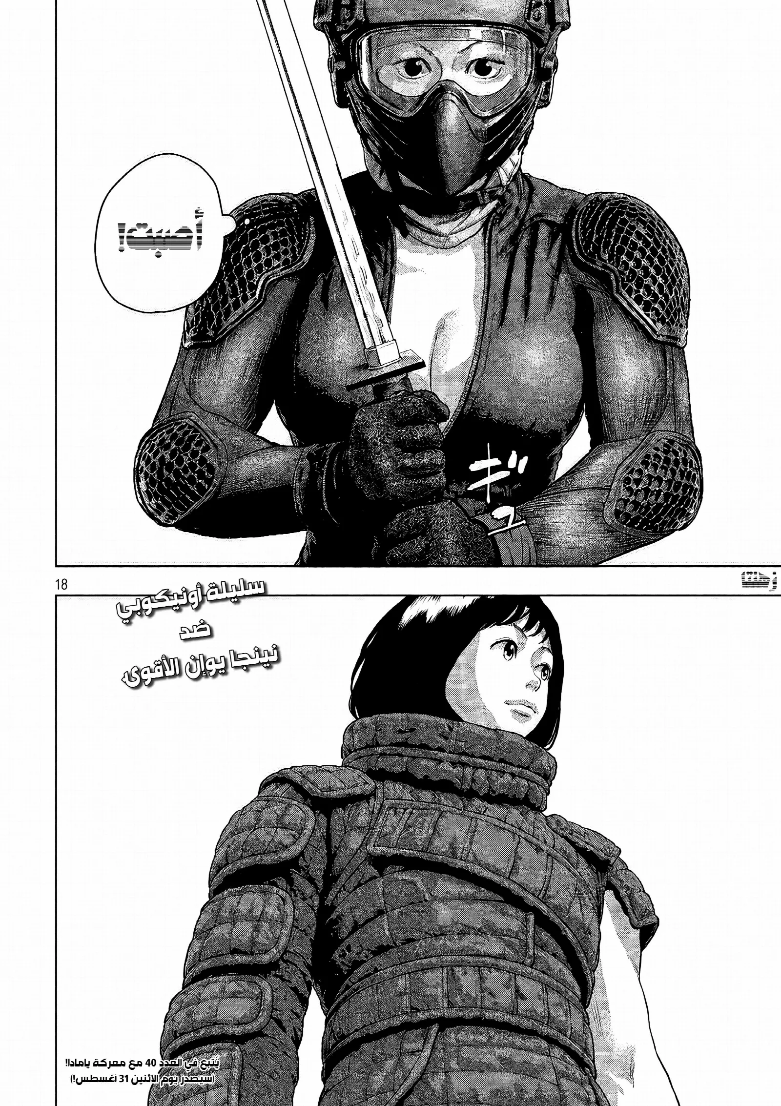 الصفحة 17