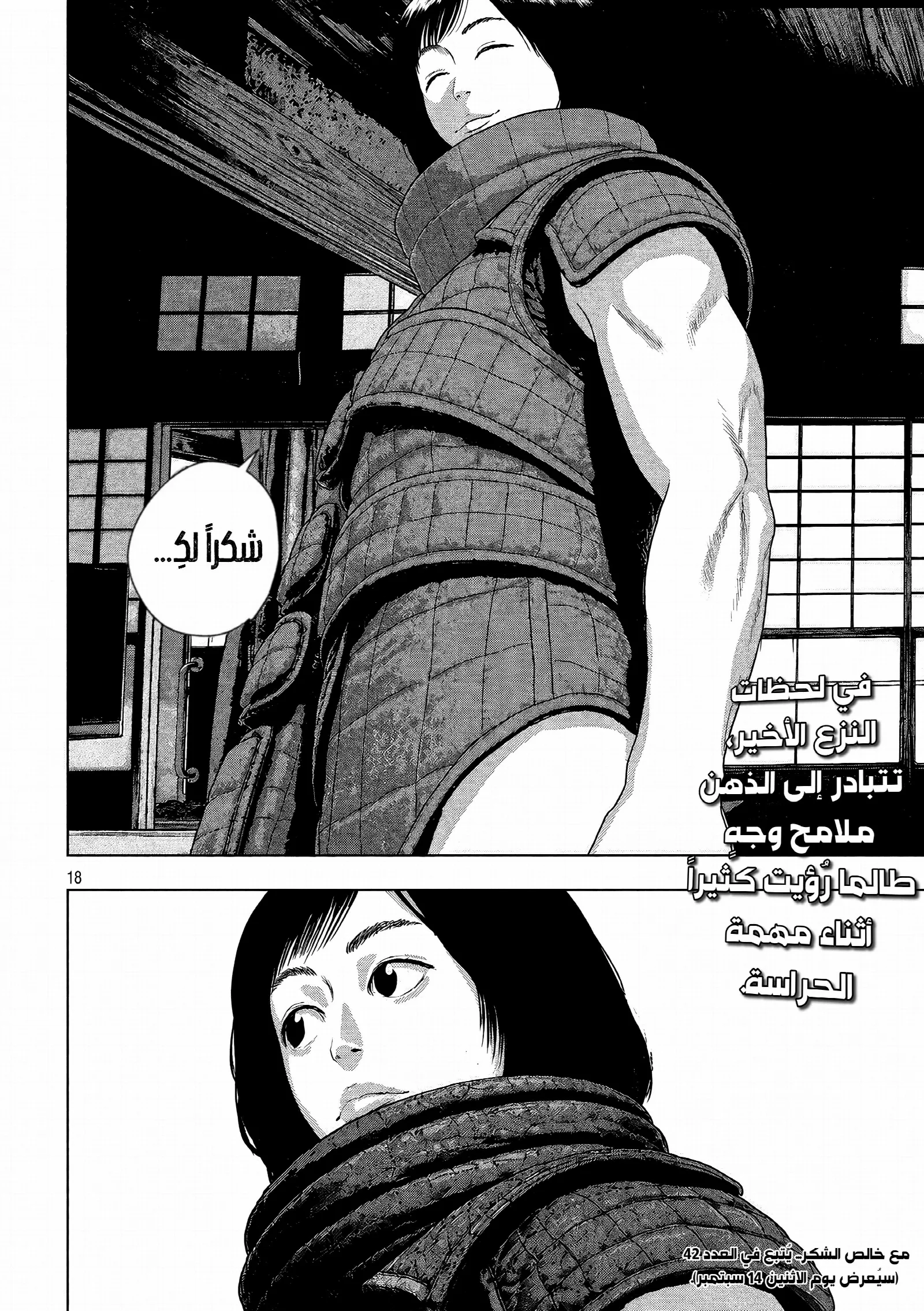 الصفحة 17