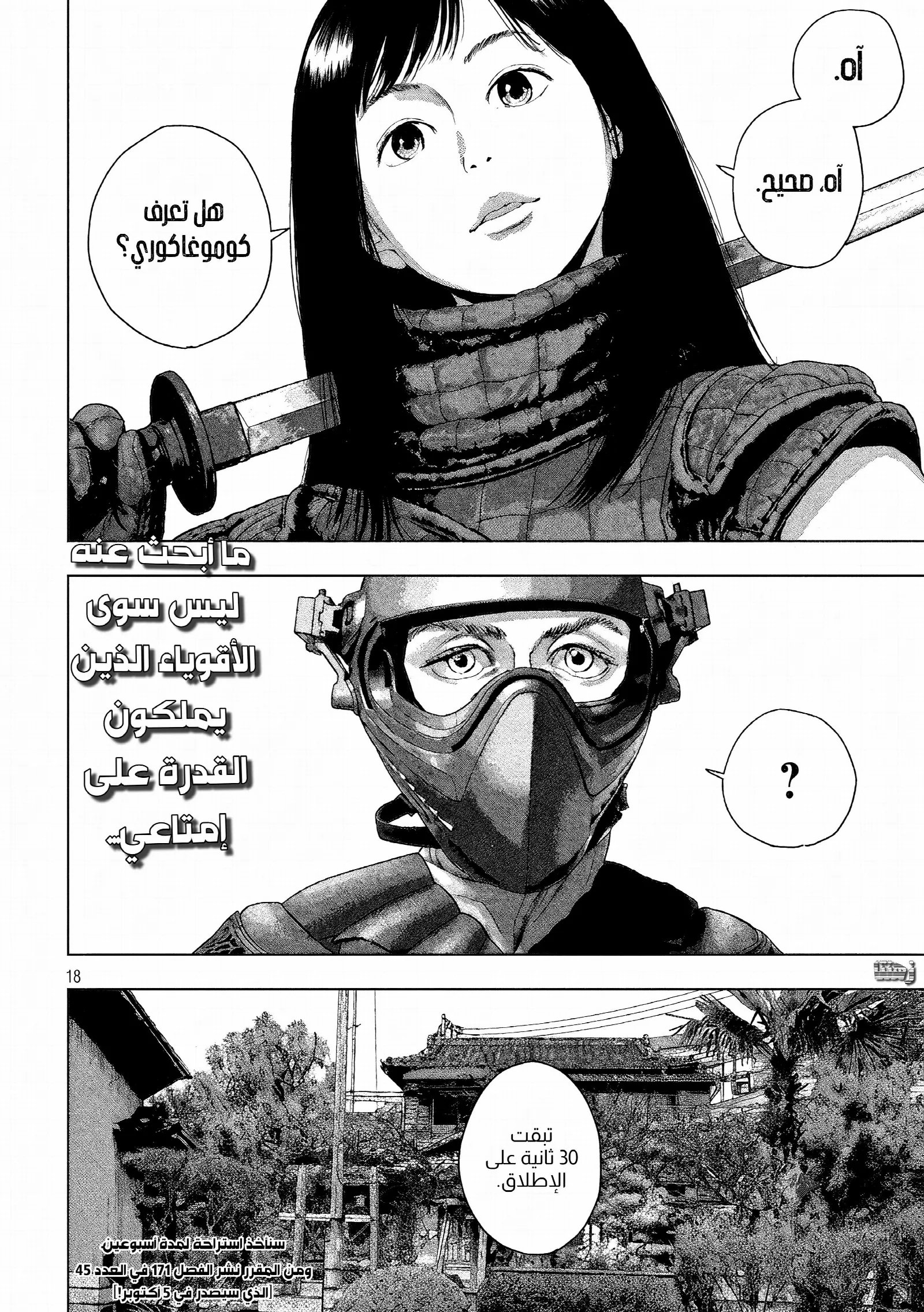 الصفحة 17