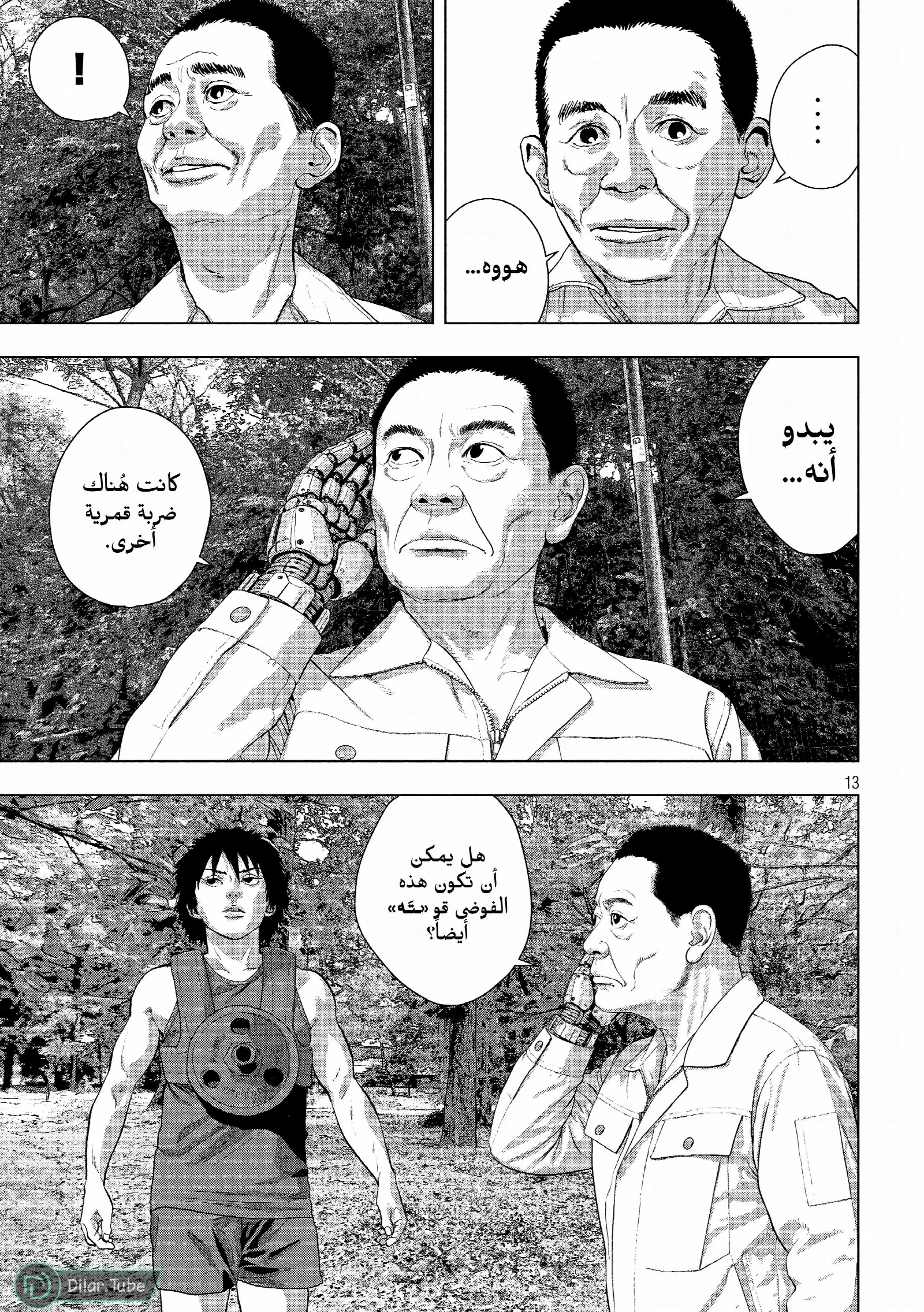 الصفحة 13