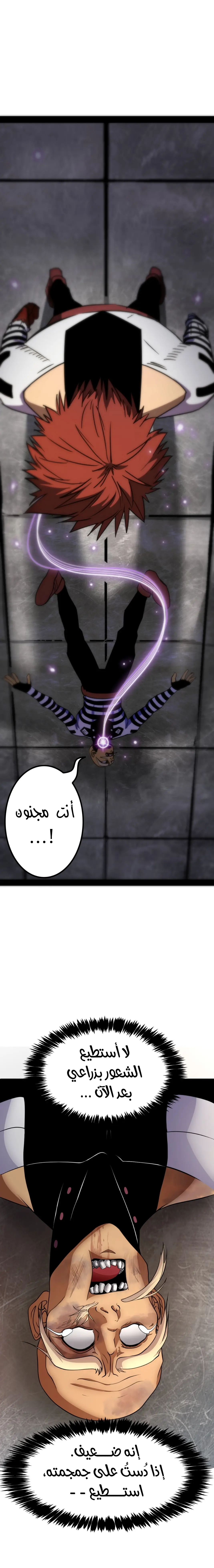 الصفحة 14