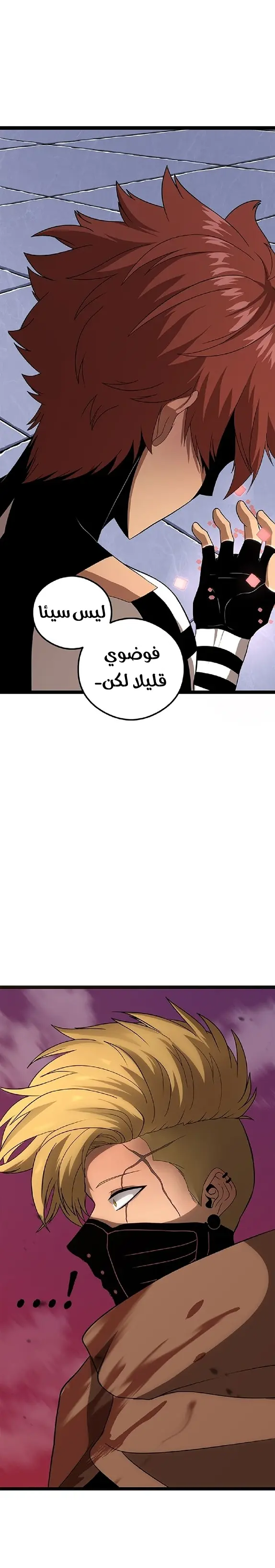 الصفحة 14