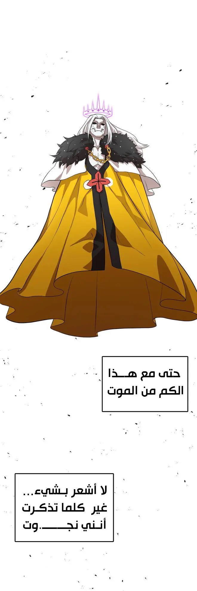 الصفحة 11