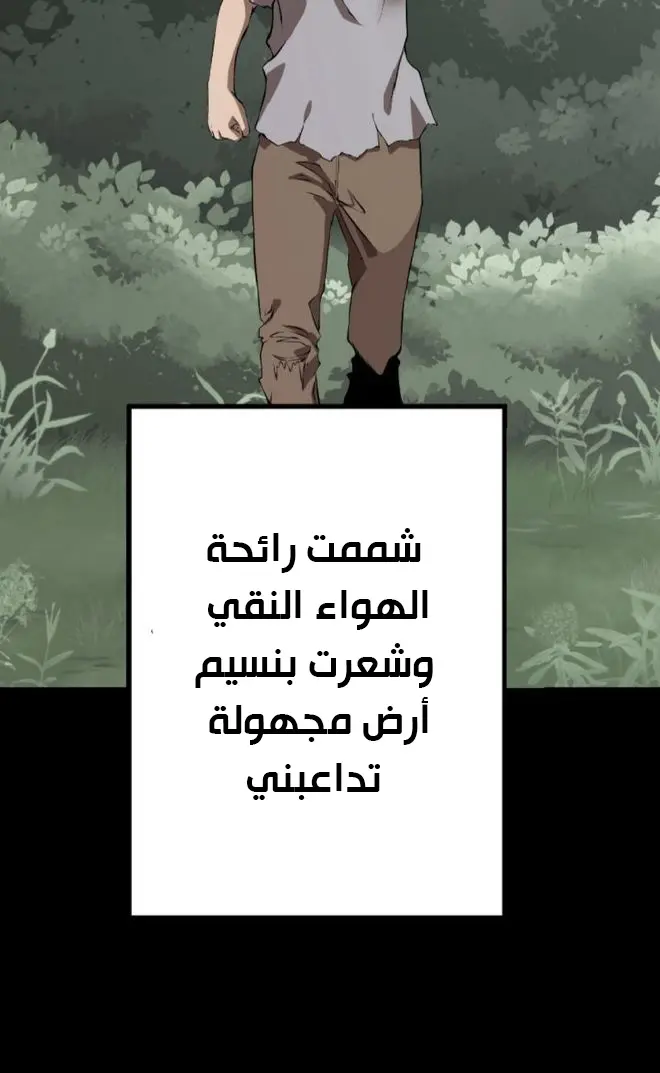 الصفحة 33