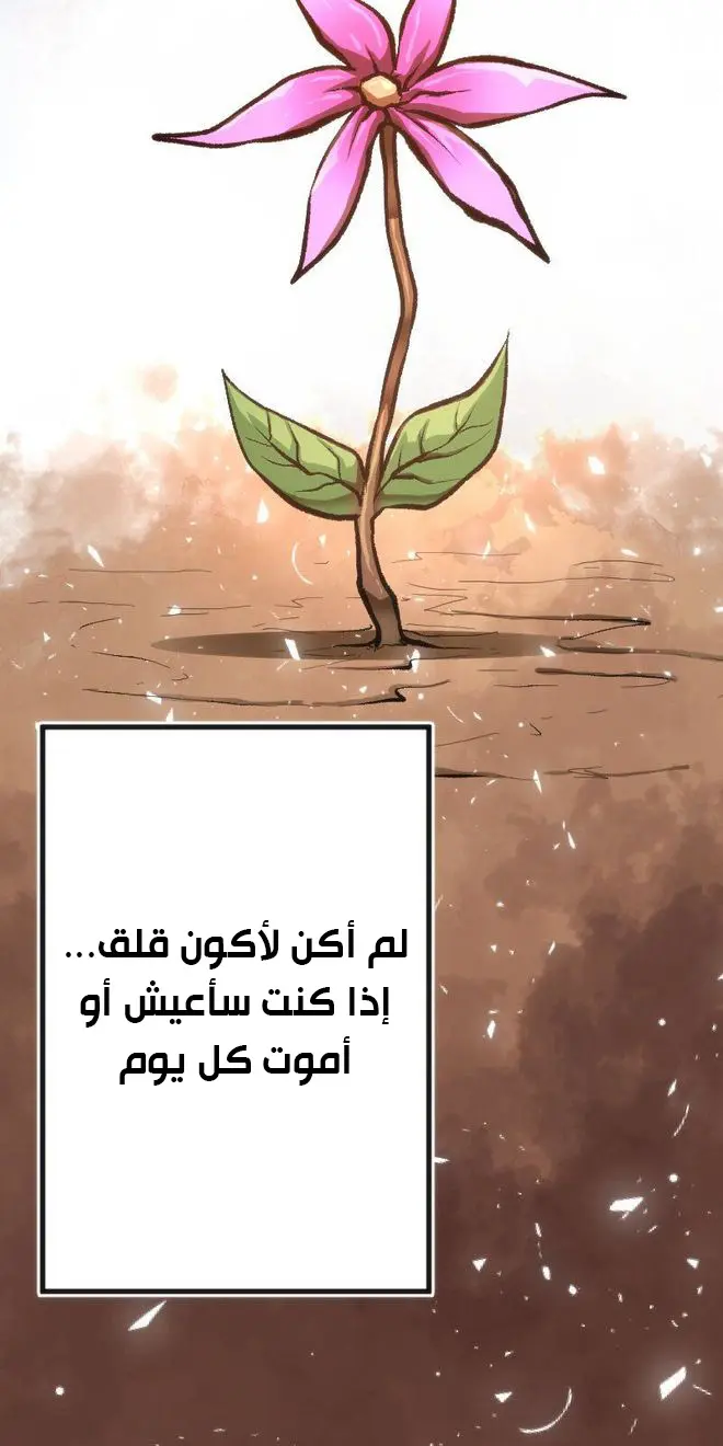 الصفحة 42