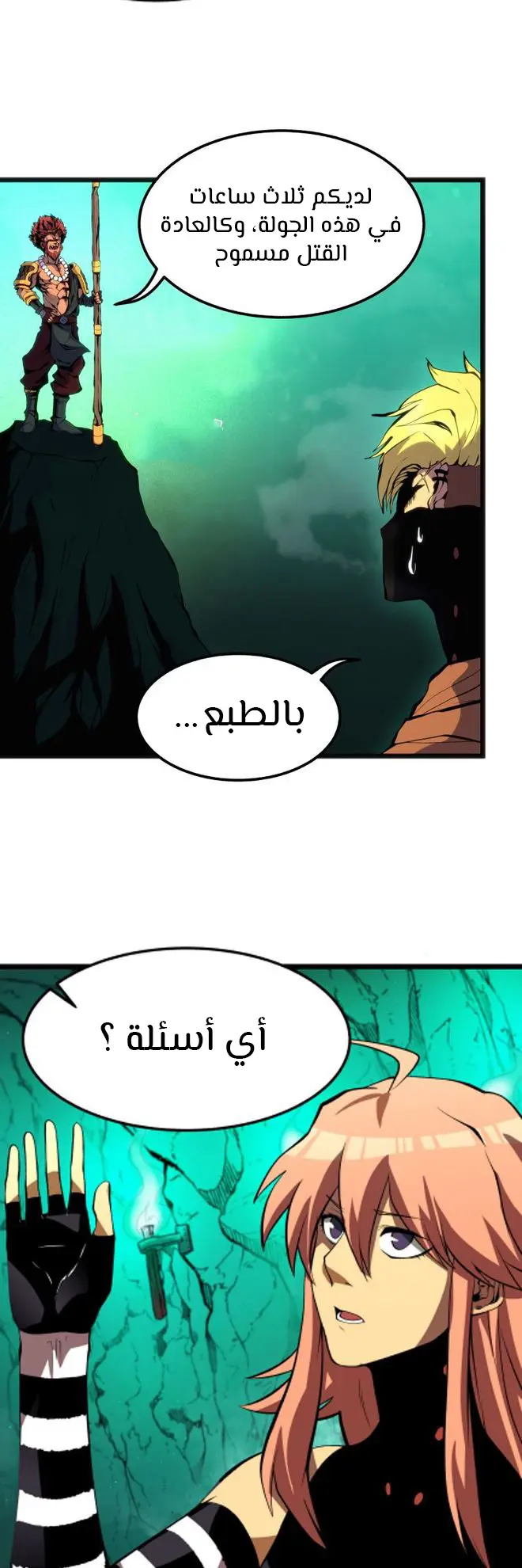الصفحة 13