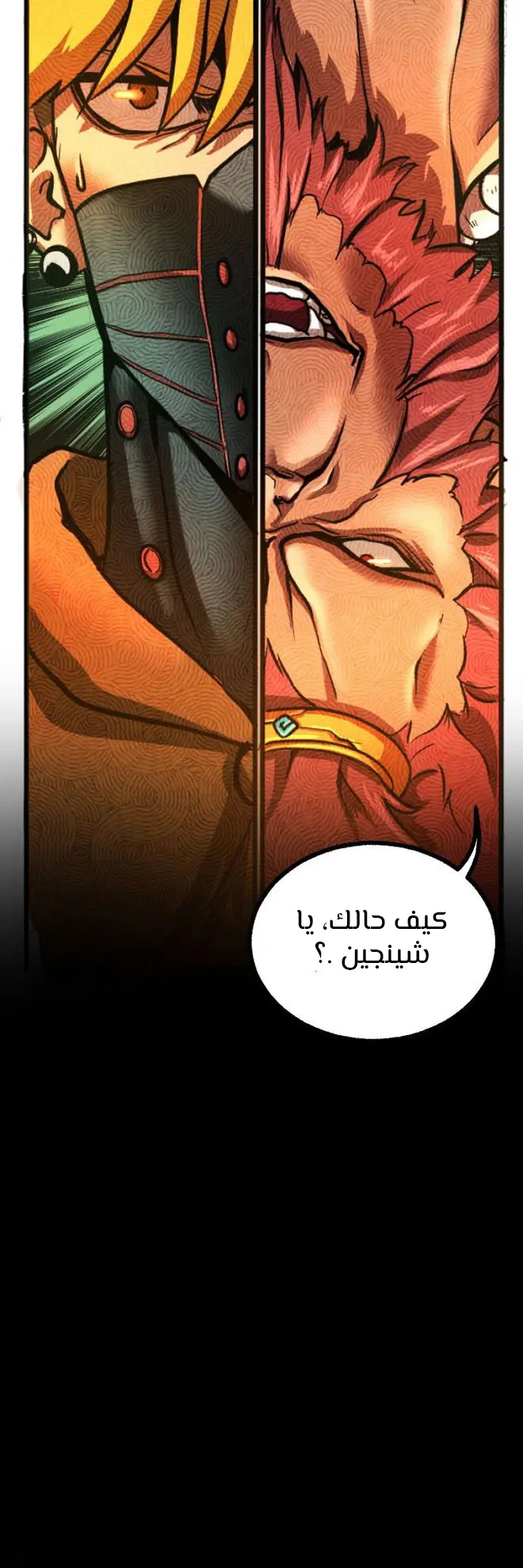 الصفحة 66