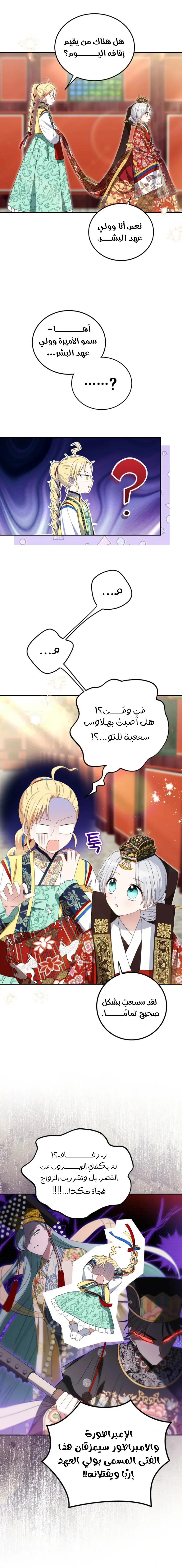 الصفحة 11