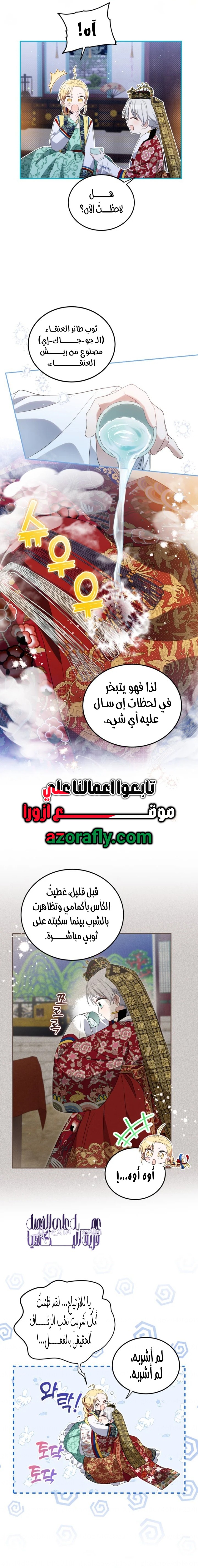 الصفحة 12