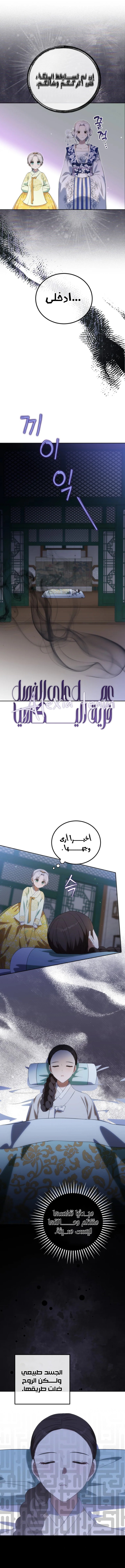 الصفحة 12