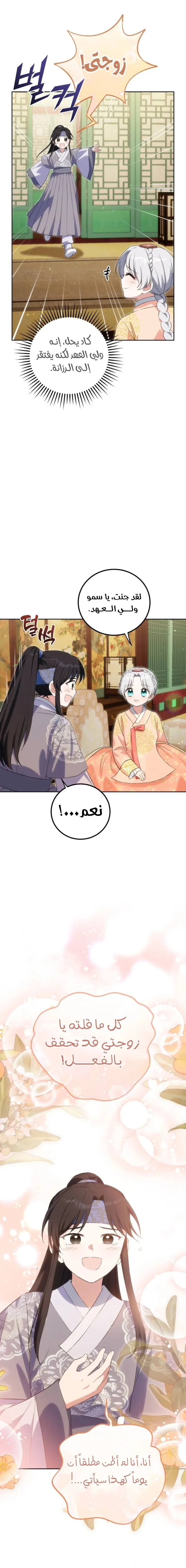 الصفحة 14