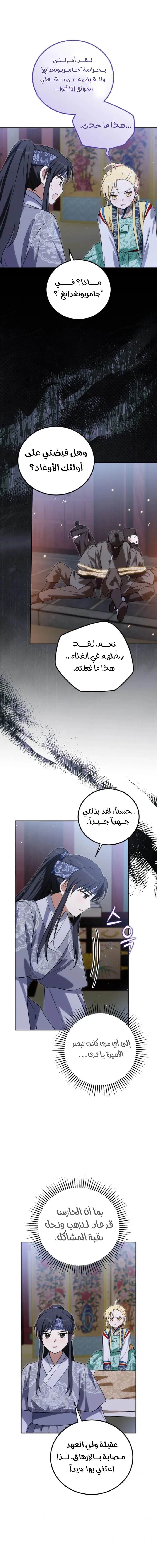 الصفحة 11