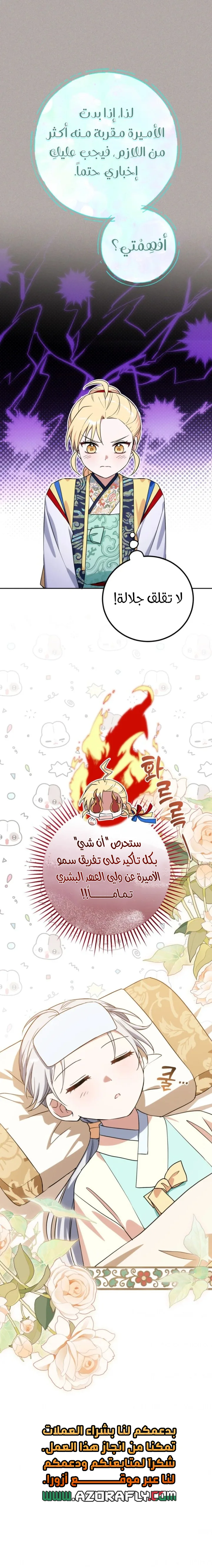 الصفحة 14