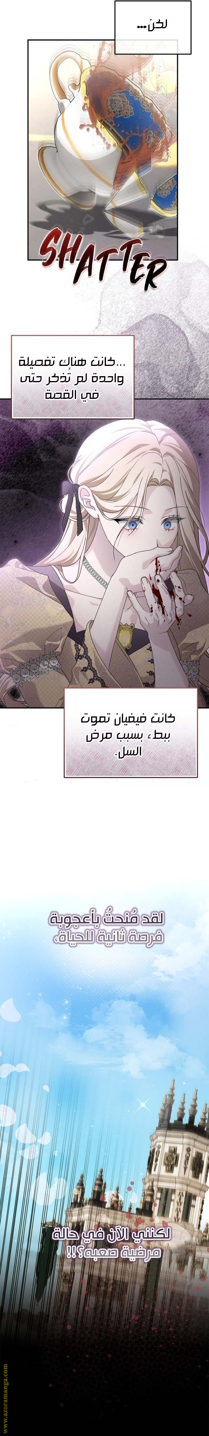الصفحة 18