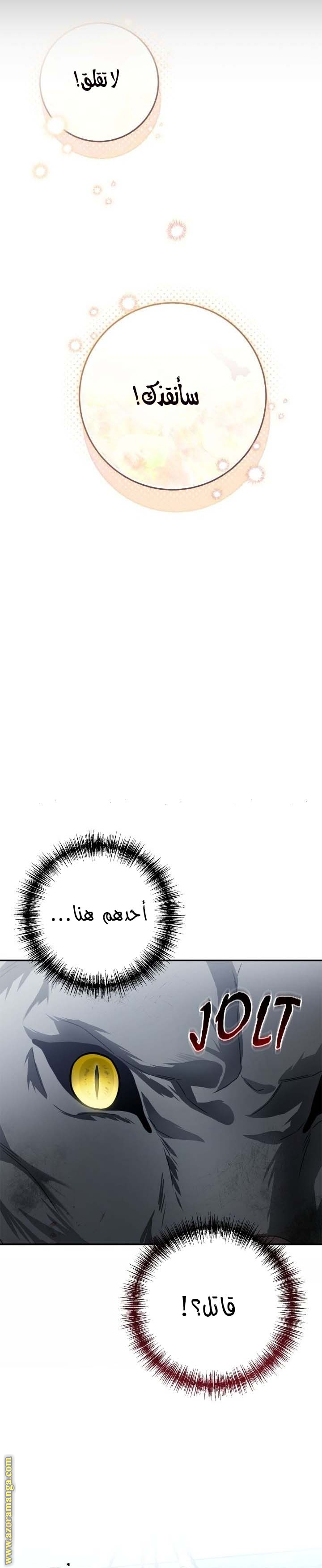 الصفحة 25