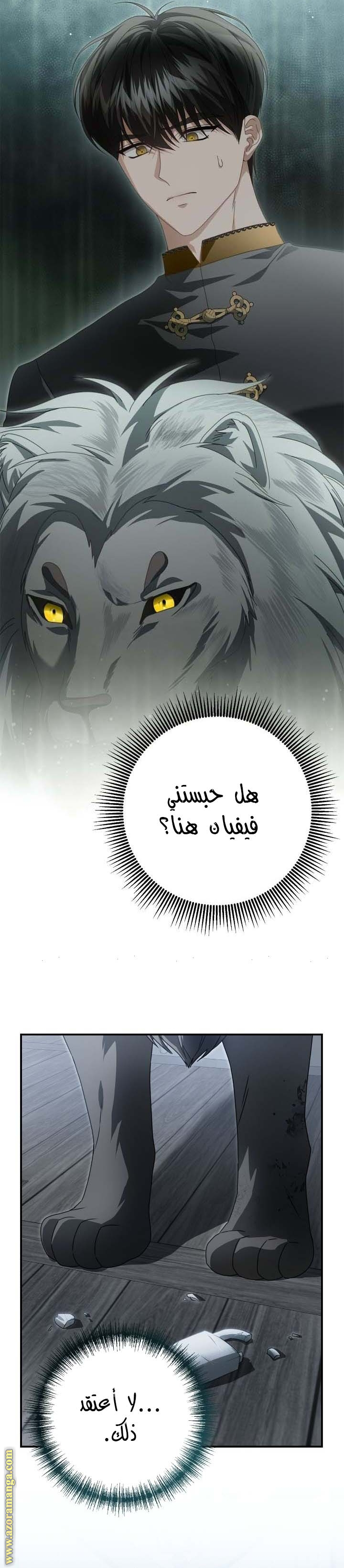 الصفحة 27