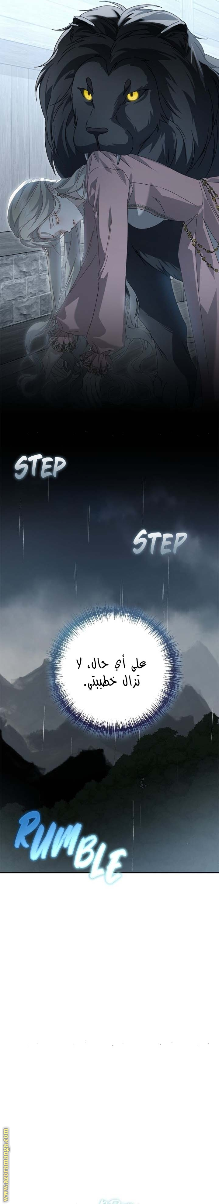 الصفحة 30