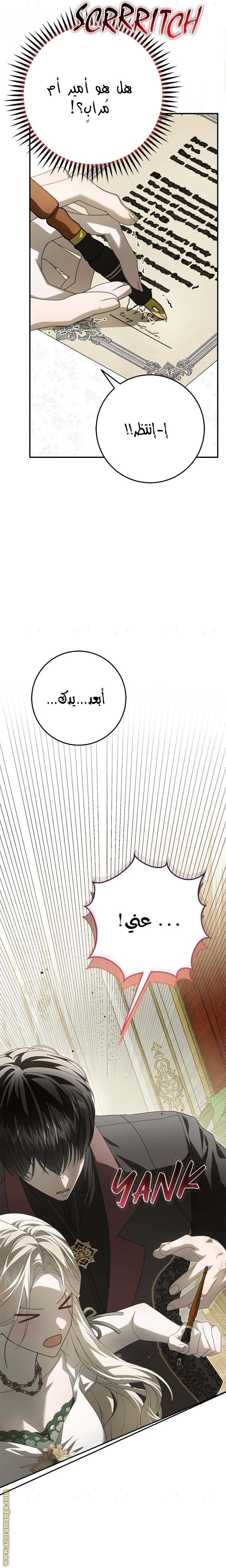 الصفحة 15