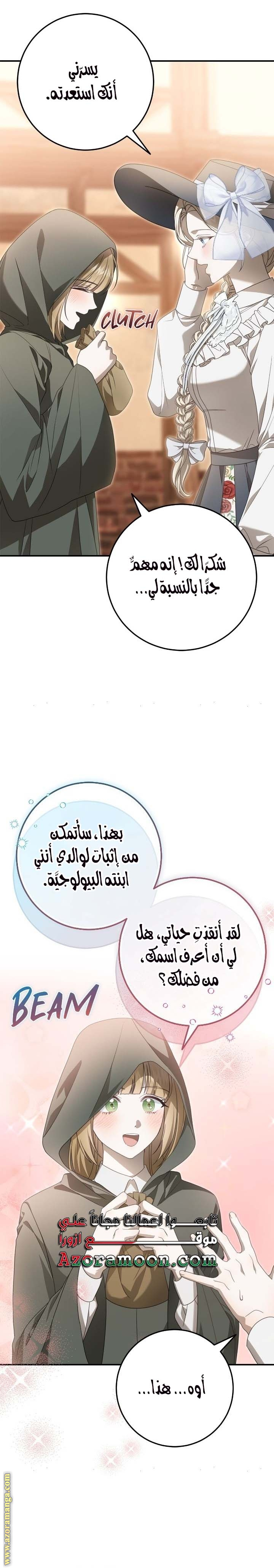 الصفحة 26