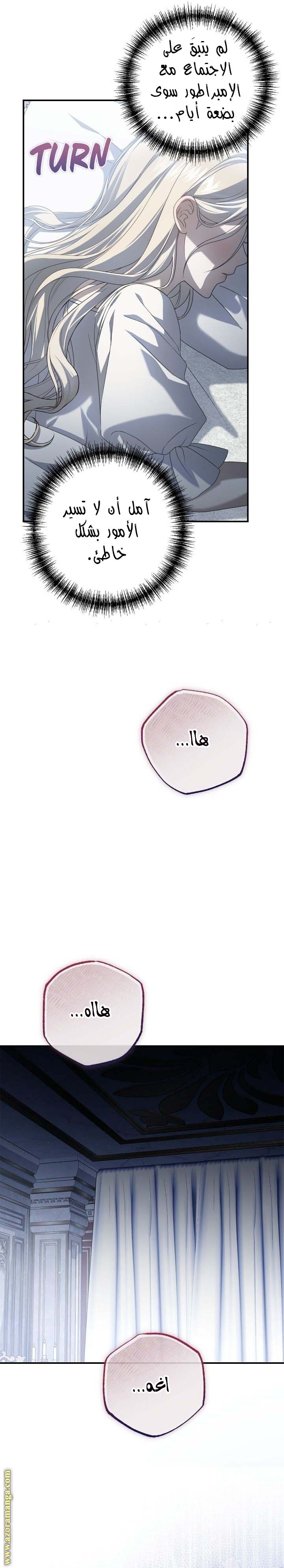 الصفحة 15
